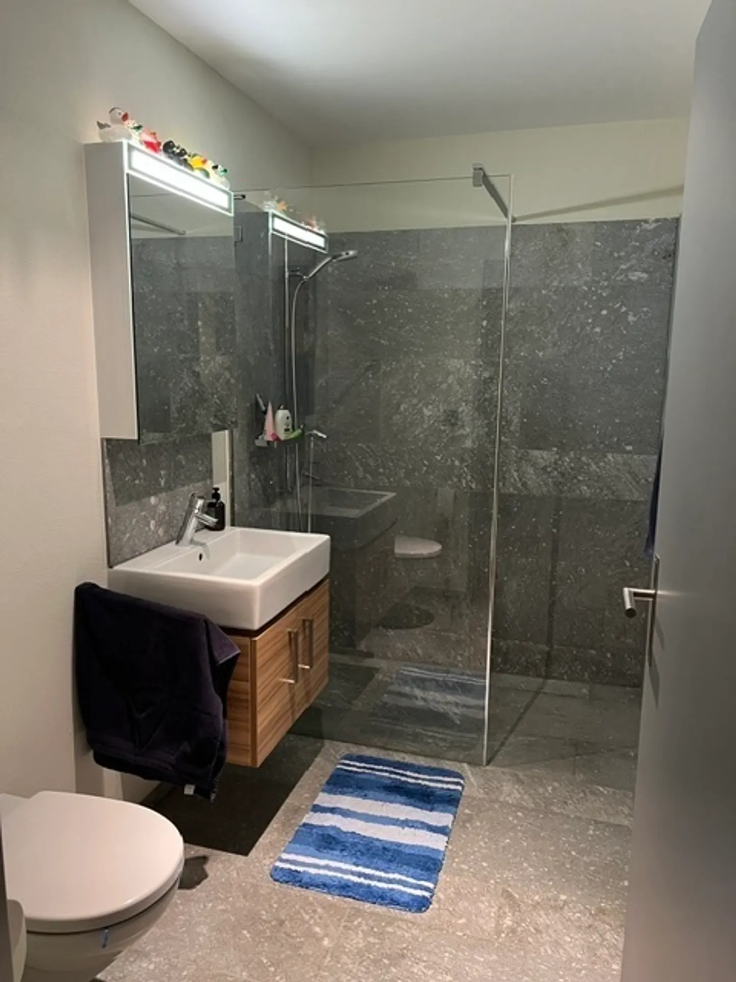 Apartment for rent - Photo 5 of 5