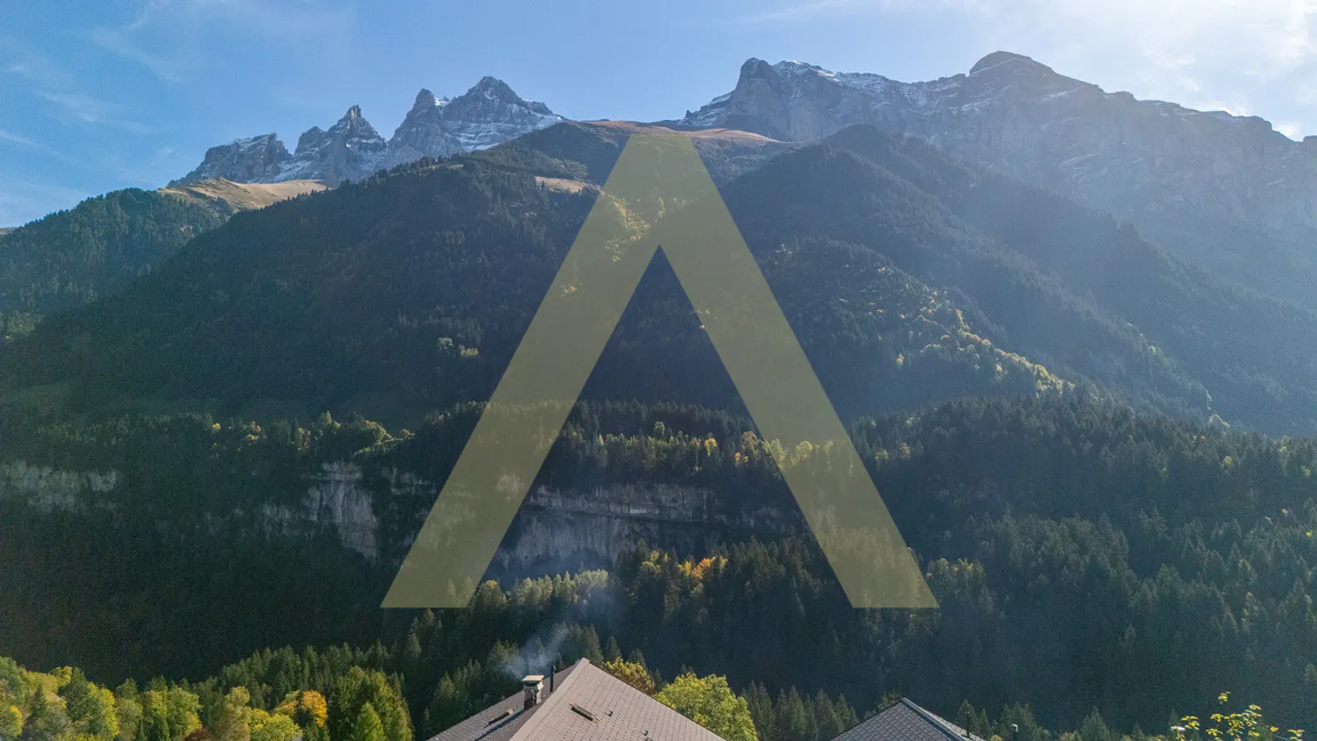 Extraordinary property at the foot of the Portes du Soleil - Photo 12 of 12