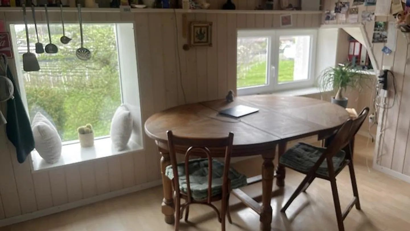 APPARTAMENTO 2½ STANZE A SPIEZ (BE), ARREDATO, TEMPORANEO - Foto 3 di 10