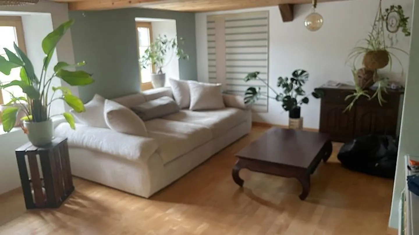 APPARTAMENTO 2½ STANZE A SPIEZ (BE), ARREDATO, TEMPORANEO - Foto 4 di 10