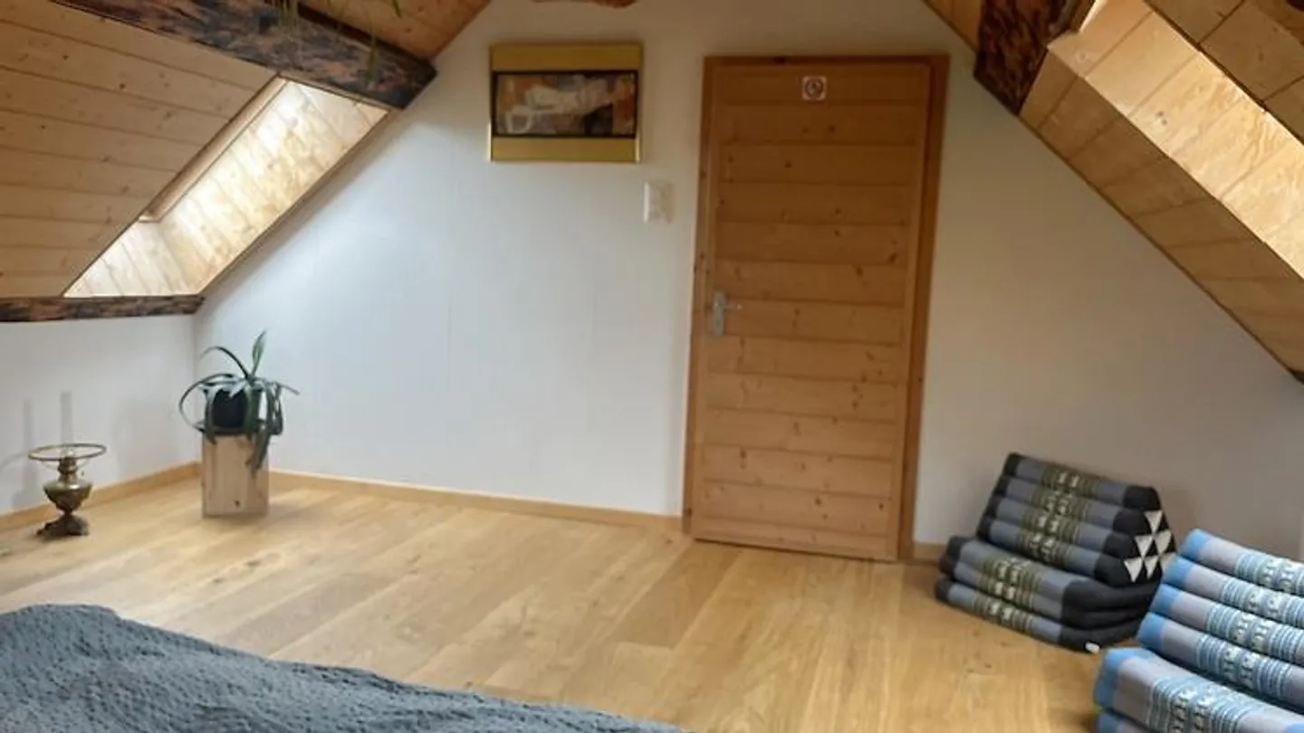 APPARTAMENTO 2½ STANZE A SPIEZ (BE), ARREDATO, TEMPORANEO - Foto 6 di 10