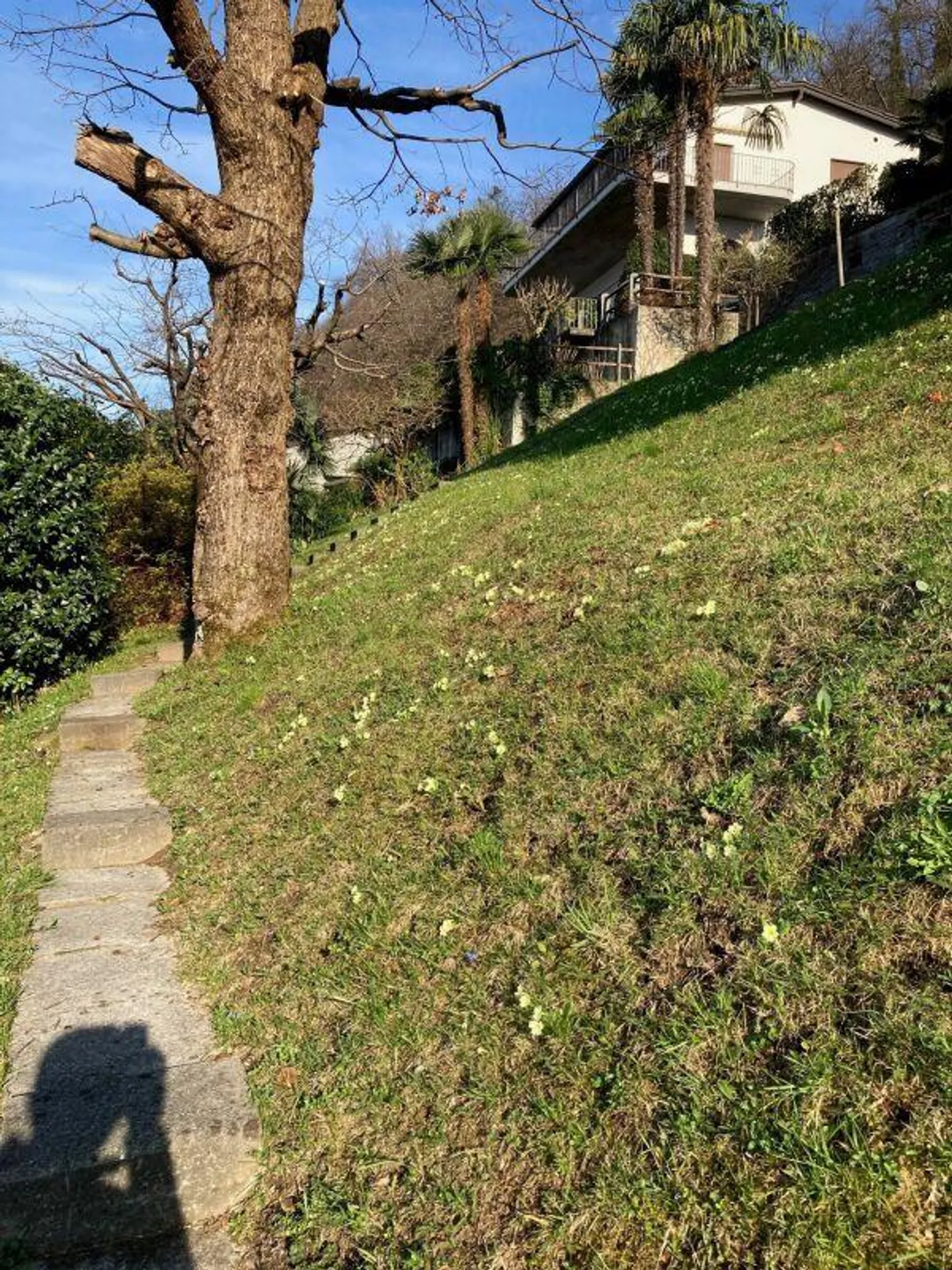 Terrain constructible à Magadino avec vue sur le lac - Photo 8 sur 8