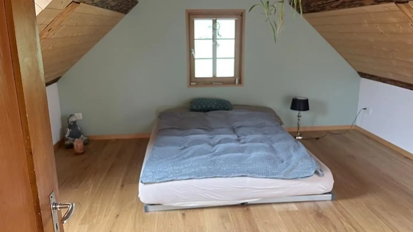 APPARTAMENTO 2½ STANZE A SPIEZ (BE), ARREDATO, TEMPORANEO - Foto 7 di 10