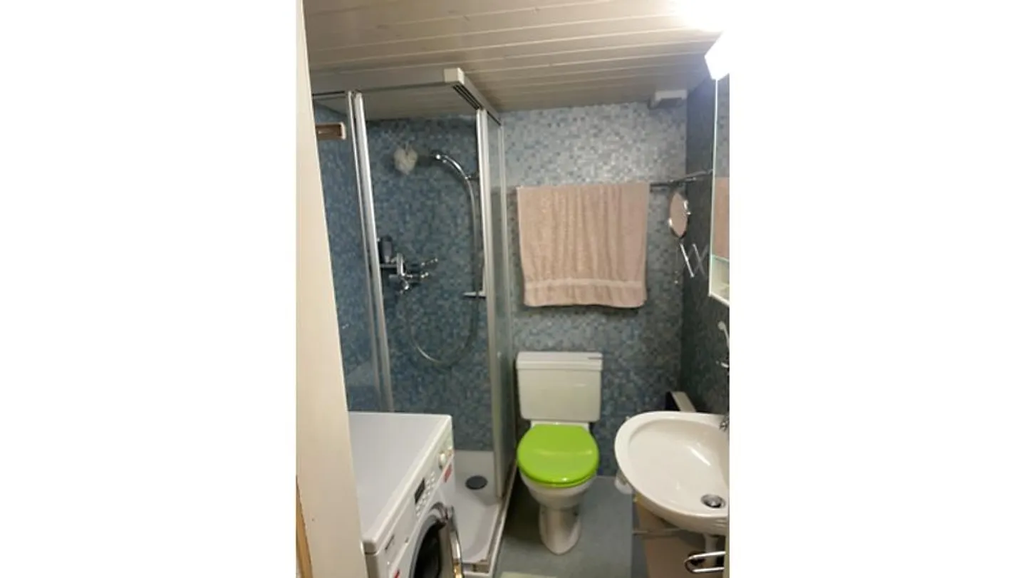 APPARTAMENTO 2½ STANZE A SPIEZ (BE), ARREDATO, TEMPORANEO - Foto 9 di 10