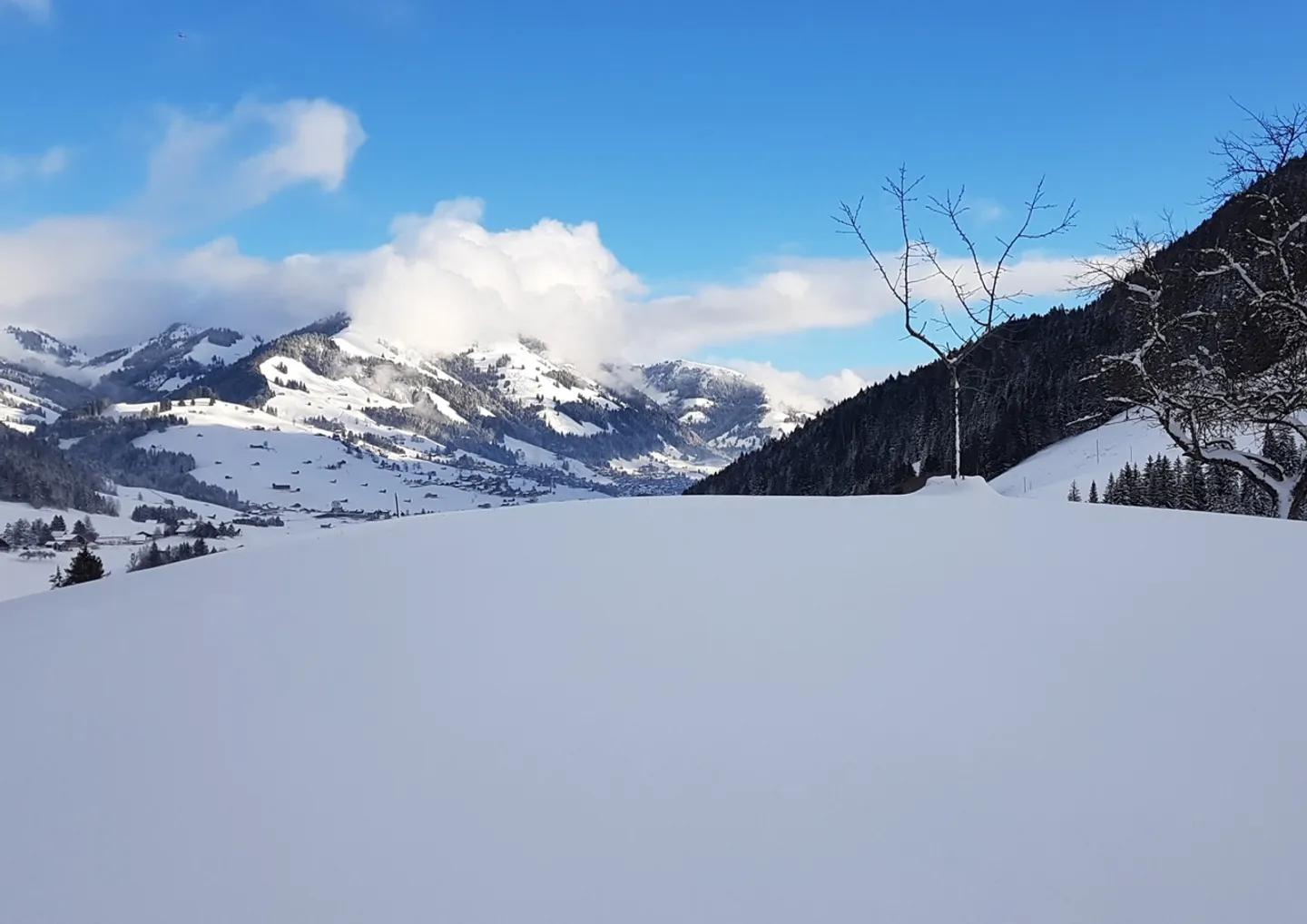Charmante ferme du XVIII siècle - Photo 12 sur 12