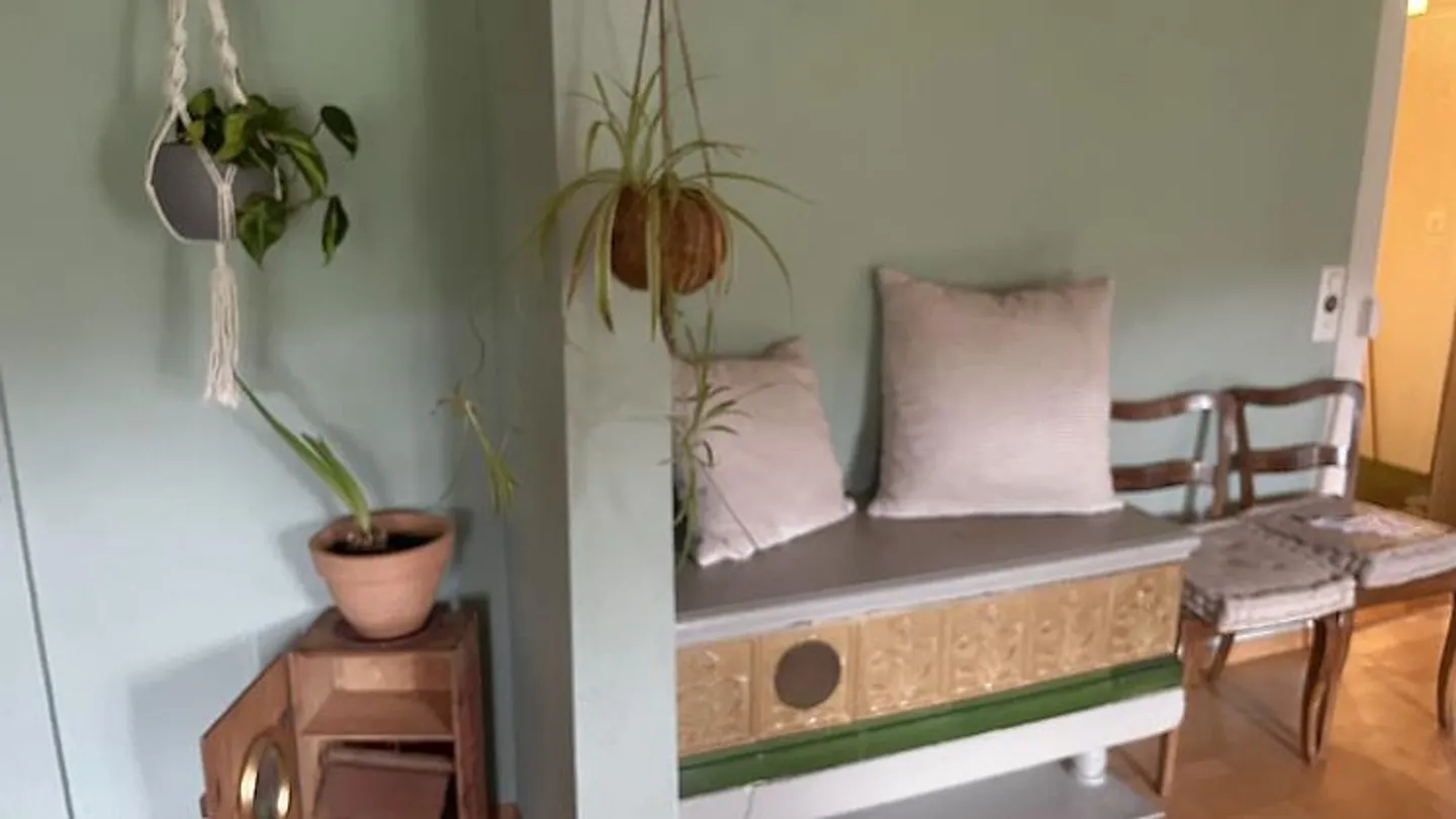 APPARTAMENTO 2½ STANZE A SPIEZ (BE), ARREDATO, TEMPORANEO - Foto 8 di 10