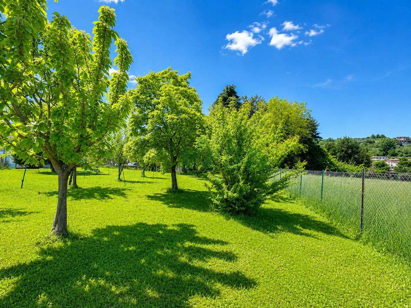 Splendid flat building plot with building permit - Photo 4 of 5