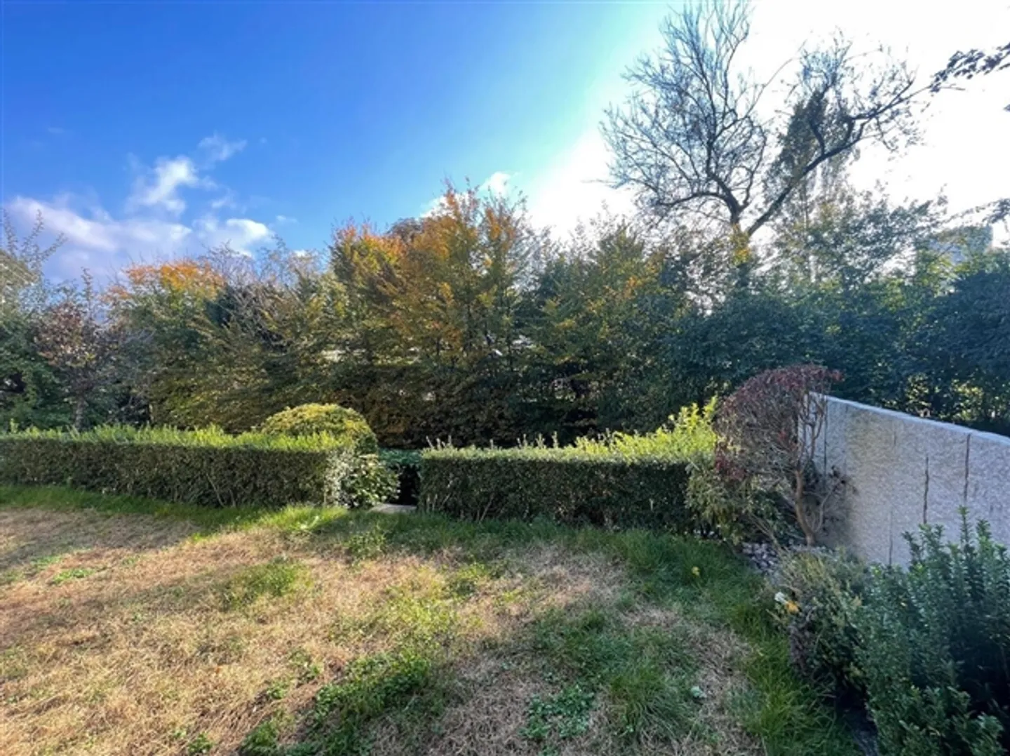 Appartement au rez-de-chaussée attrayant avec jardin (dans le cadre d'un processus d'enchères) - Photo 11 sur 11