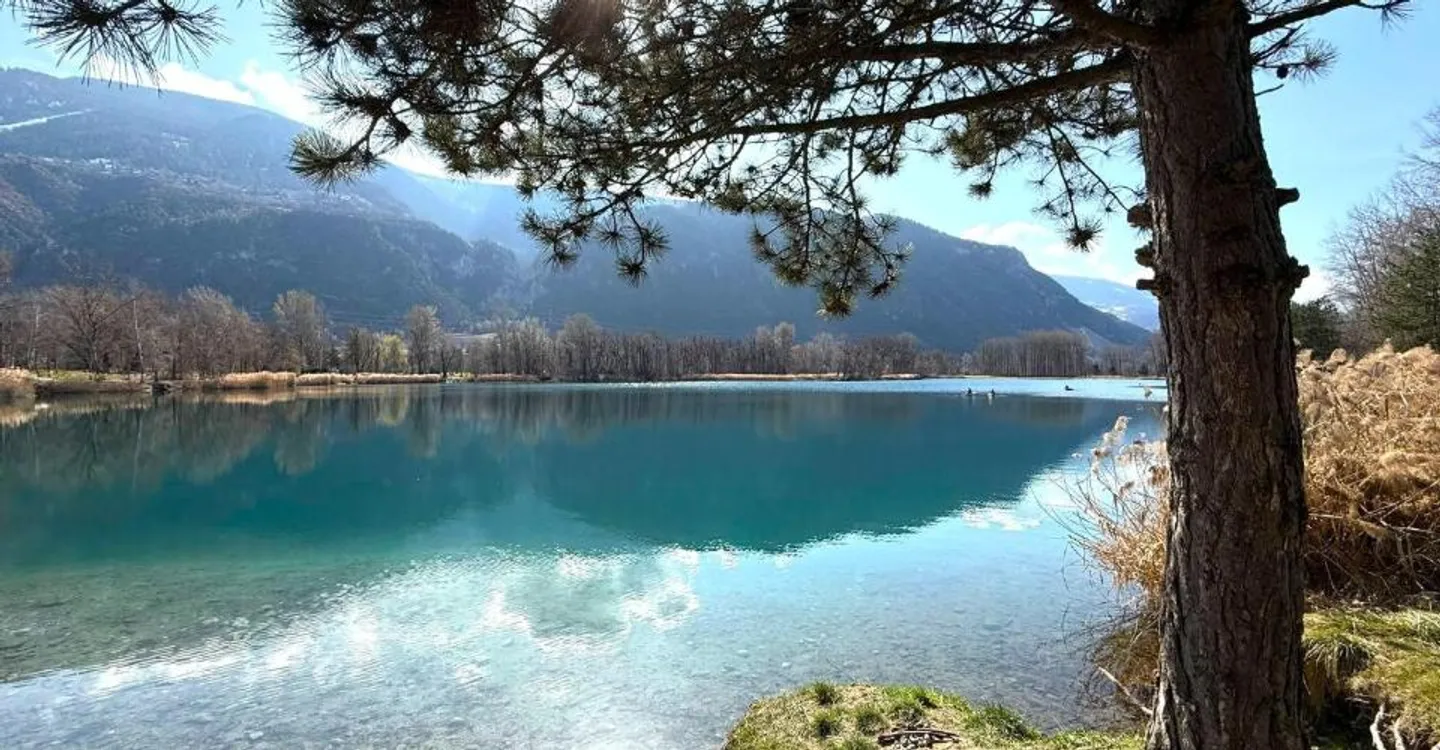 3.5 room apartment in new development opposite the Sierre Golf Course - Photo 1 of 10