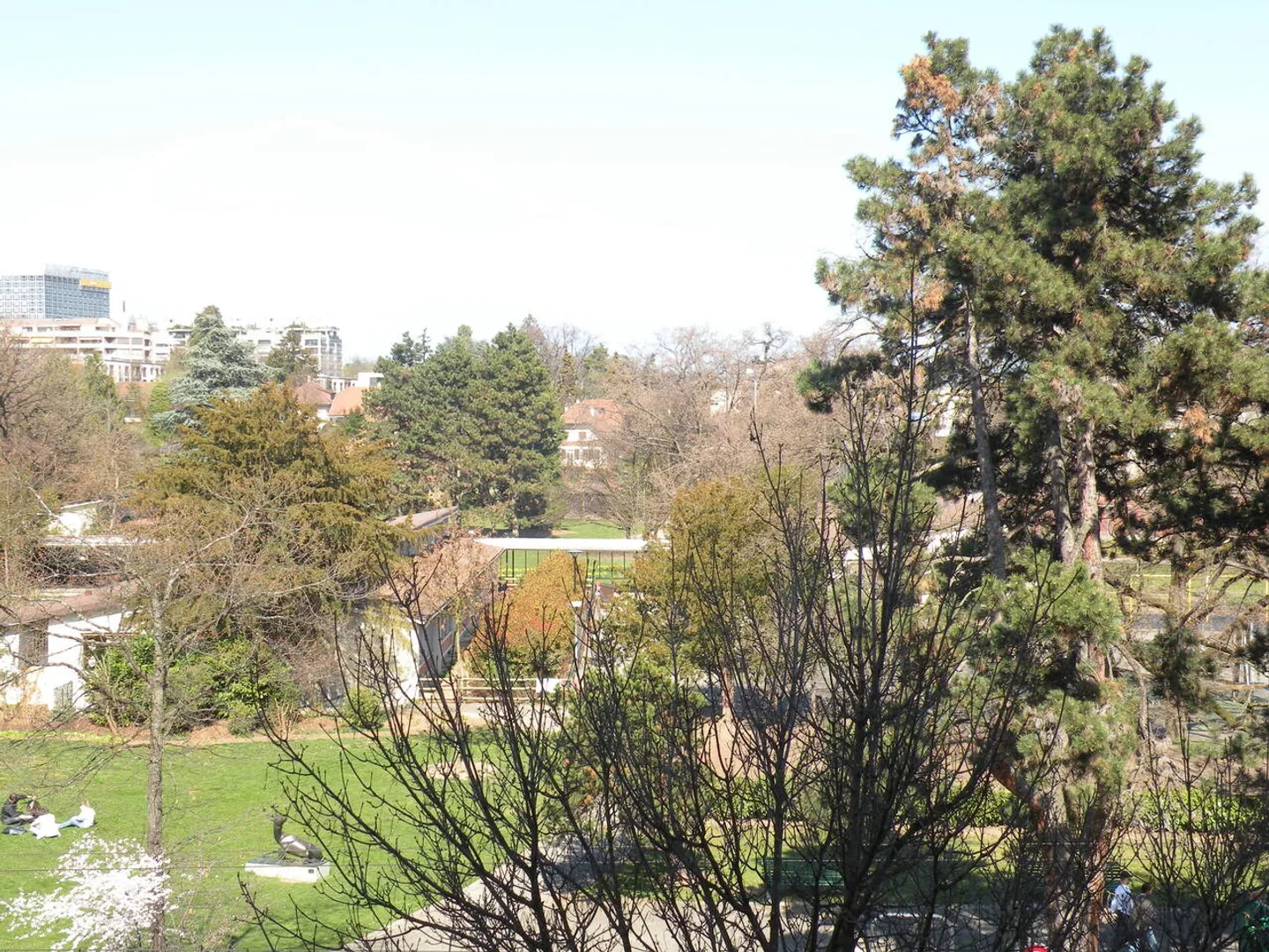 Luxury Apartment near UN in Geneva - Photo 1 of 9