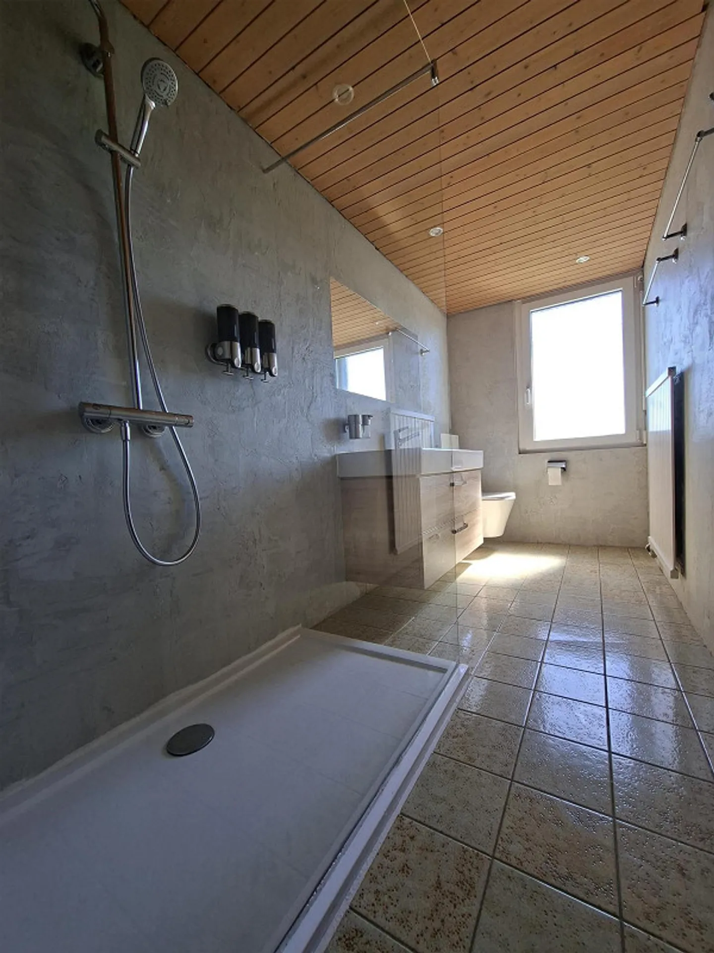 Maison individuelle spacieuse de 6 pièces sur le Sonnenhügel de Zurich-Leimbach (District 2) - Photo 12 sur 17