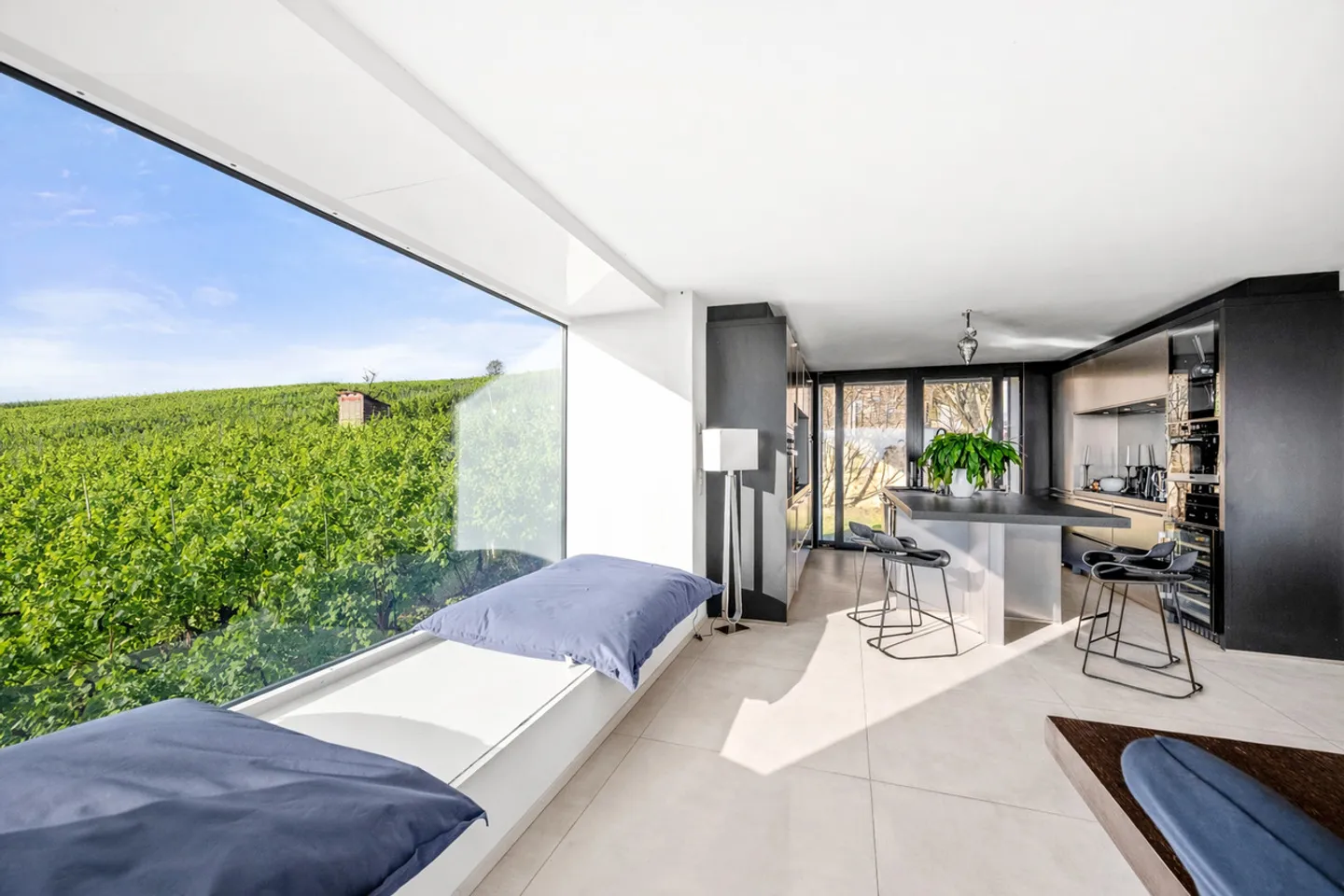 Stunning Villa with Vineyard Views - Photo 4 of 13