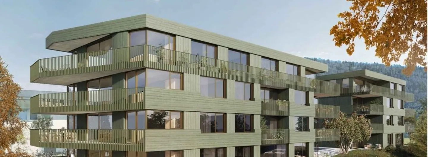 Residential Development Steinsäge Meiringen - Photo 1 of 2