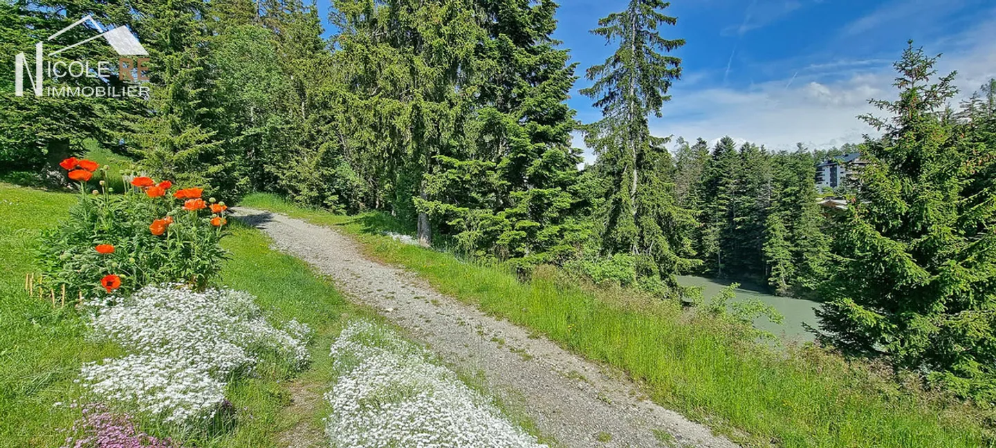 Incantevole Casa Vacanze a Crans-Montana - Foto 21 di 22