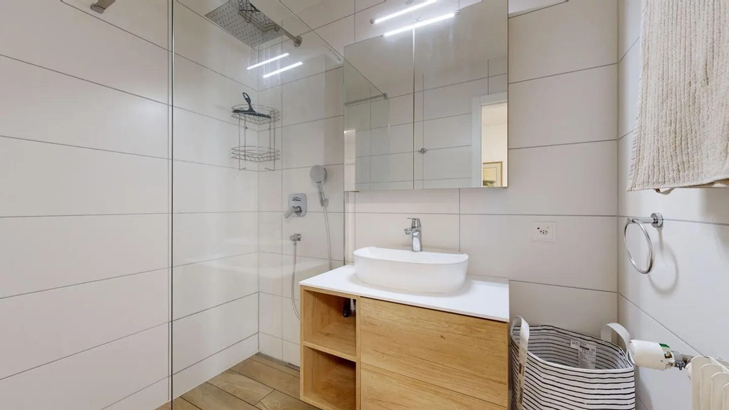 Appartamento arredato 2.5 stanze - Foto 5 di 6