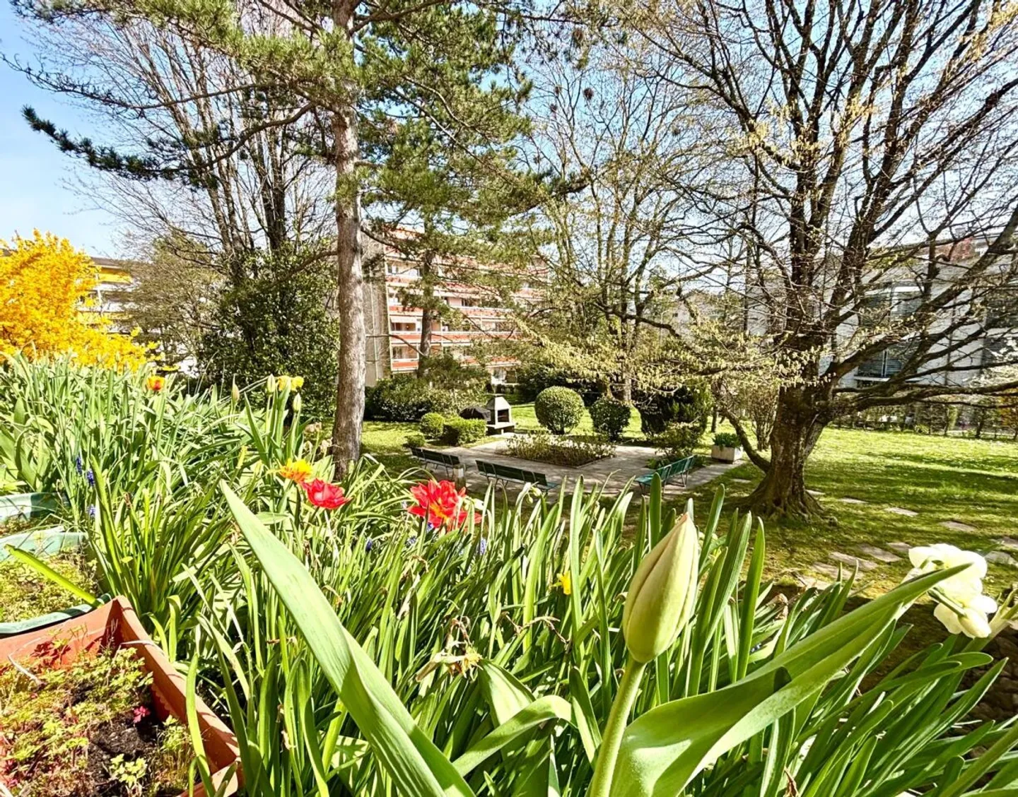 Incantevole Appartamento 3.5 locali - Foto 1 di 13