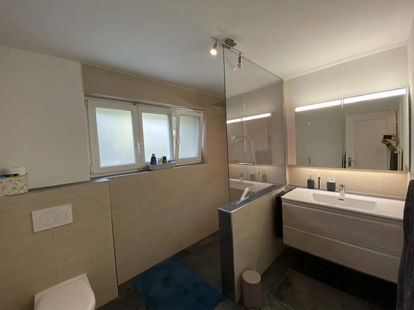 Rêve de maison avec vue, paradis multi-générationnel exclusif à Meltingen - Photo 28 sur 29