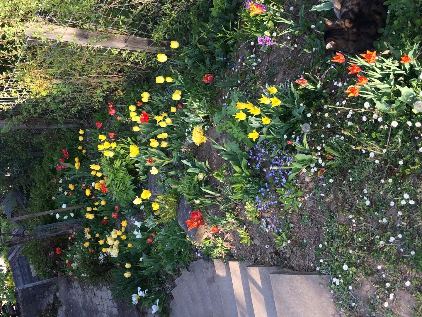 Maison familiale spacieuse avec jardin - Photo 8 sur 8