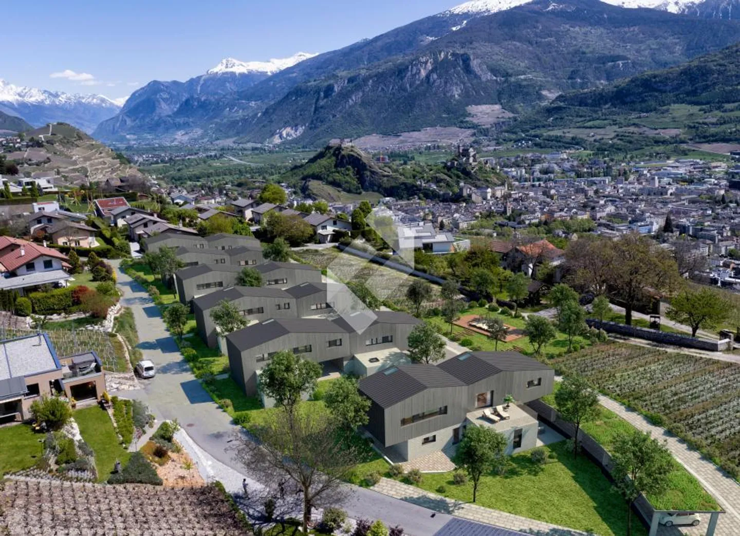 Diolly Sion - Opus Verde - Foto 1 di 13