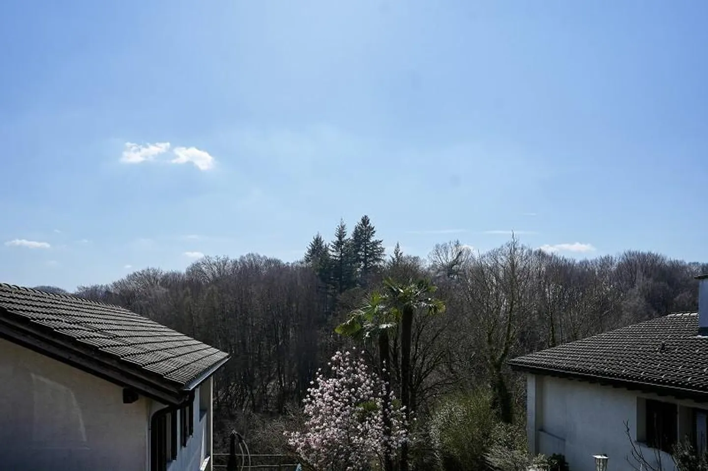 Appartamento duplex 3,5 locali in una posizione molto tranquilla e soleggiata con vista... - Foto 23 di 30