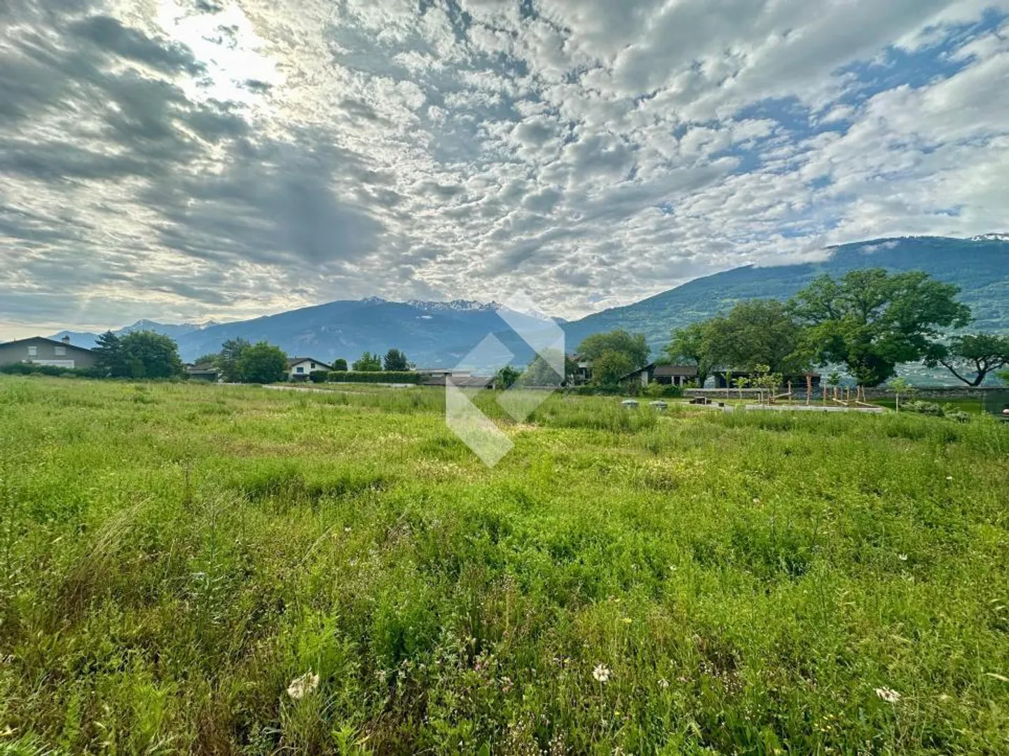 Diolly Sion - Opus Verde - Foto 2 di 13