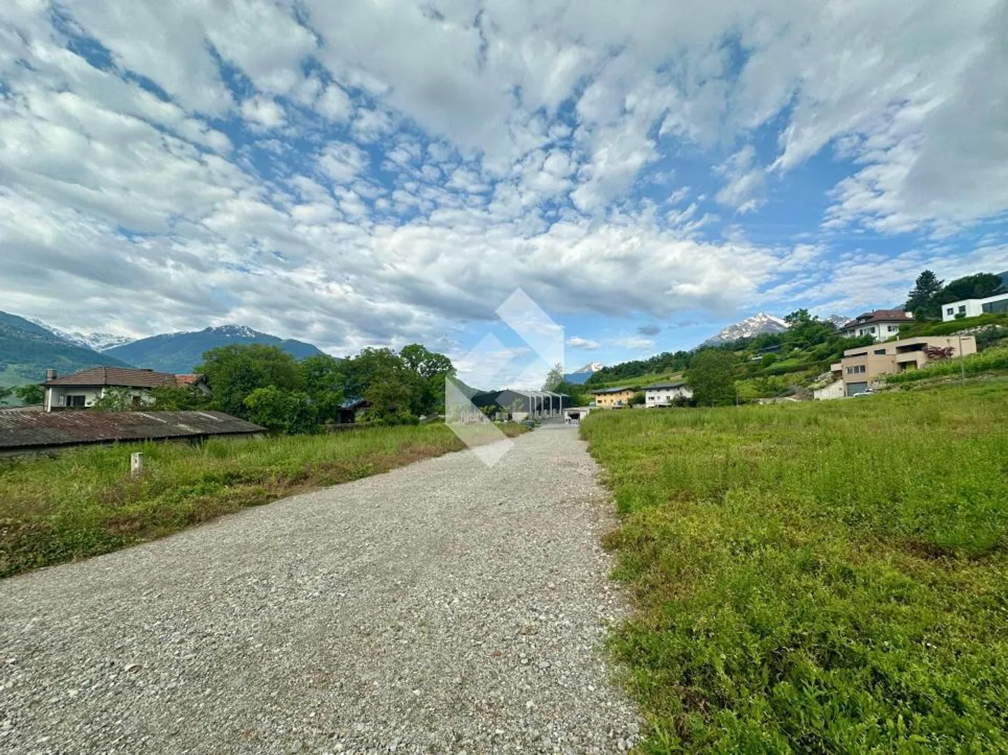 Diolly Sion - Opus Verde - Foto 9 di 13