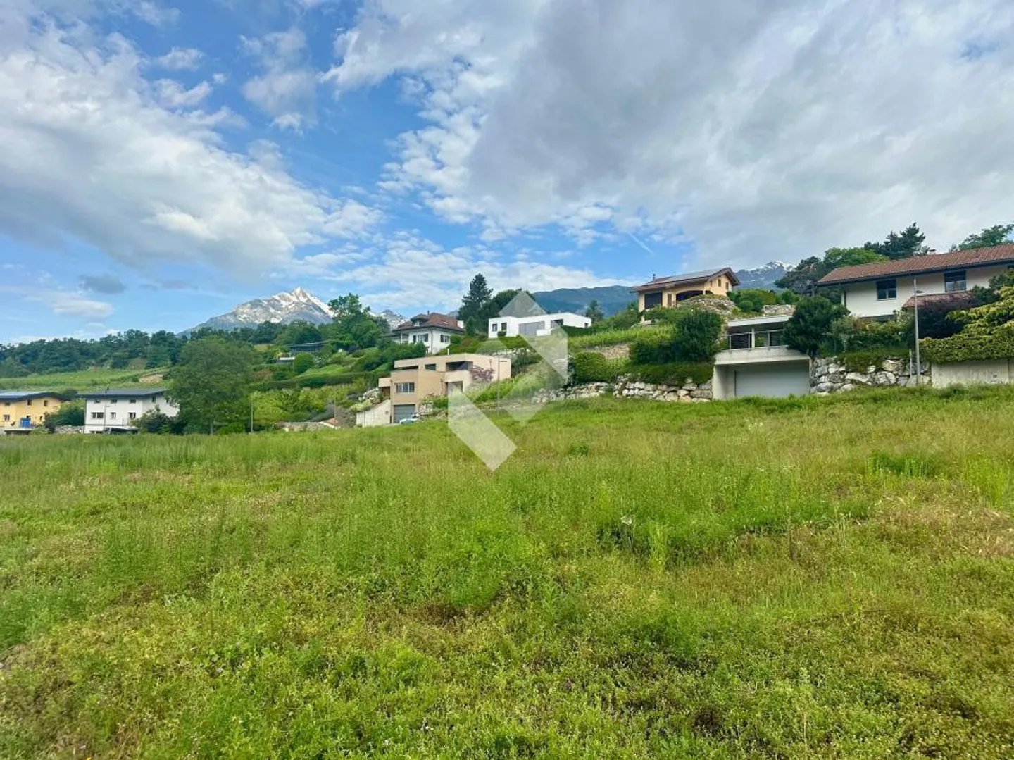 Diolly Sion - Opus Verde - Foto 10 di 13