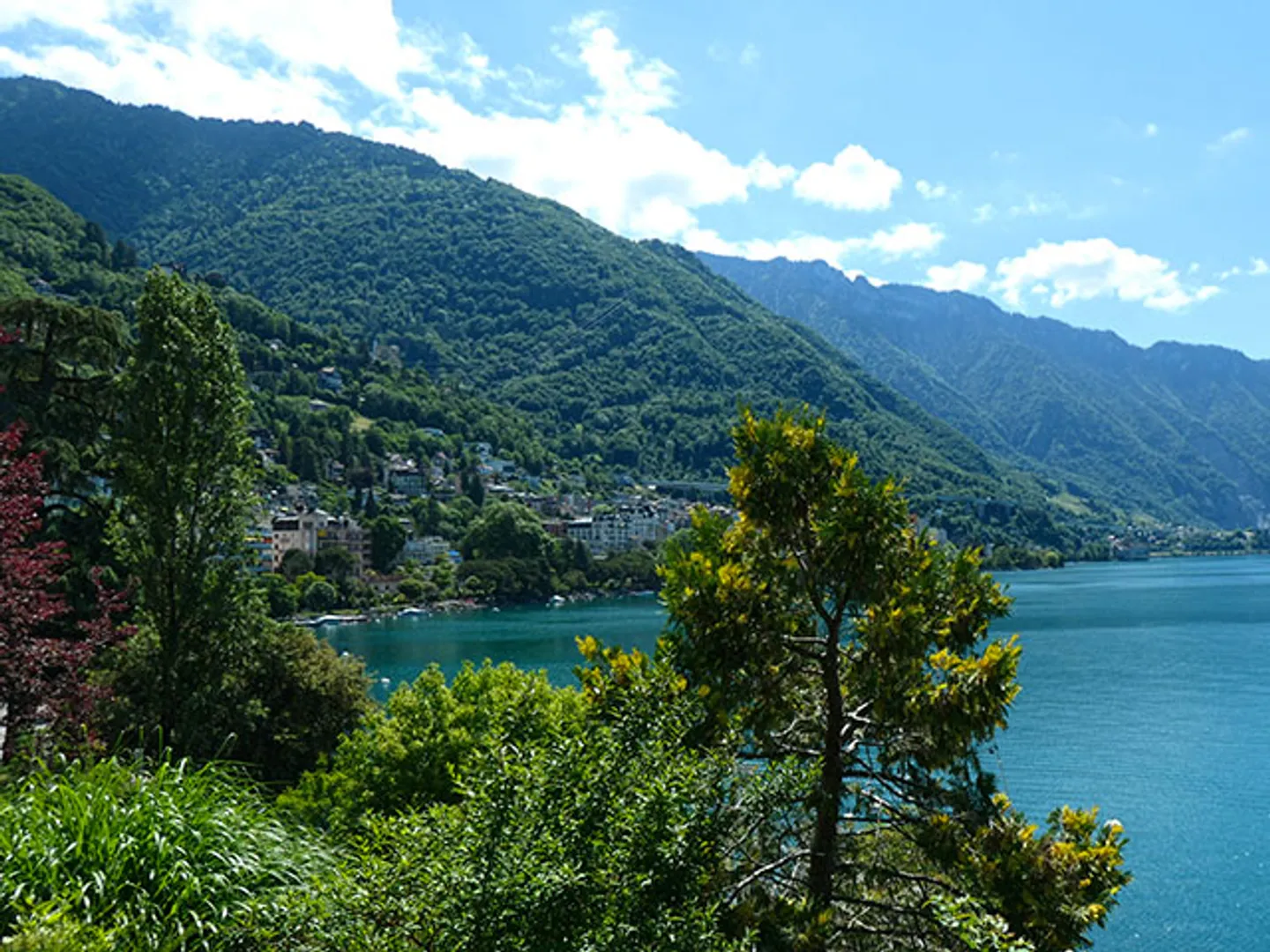 Appartamento - Foto 1 di 5