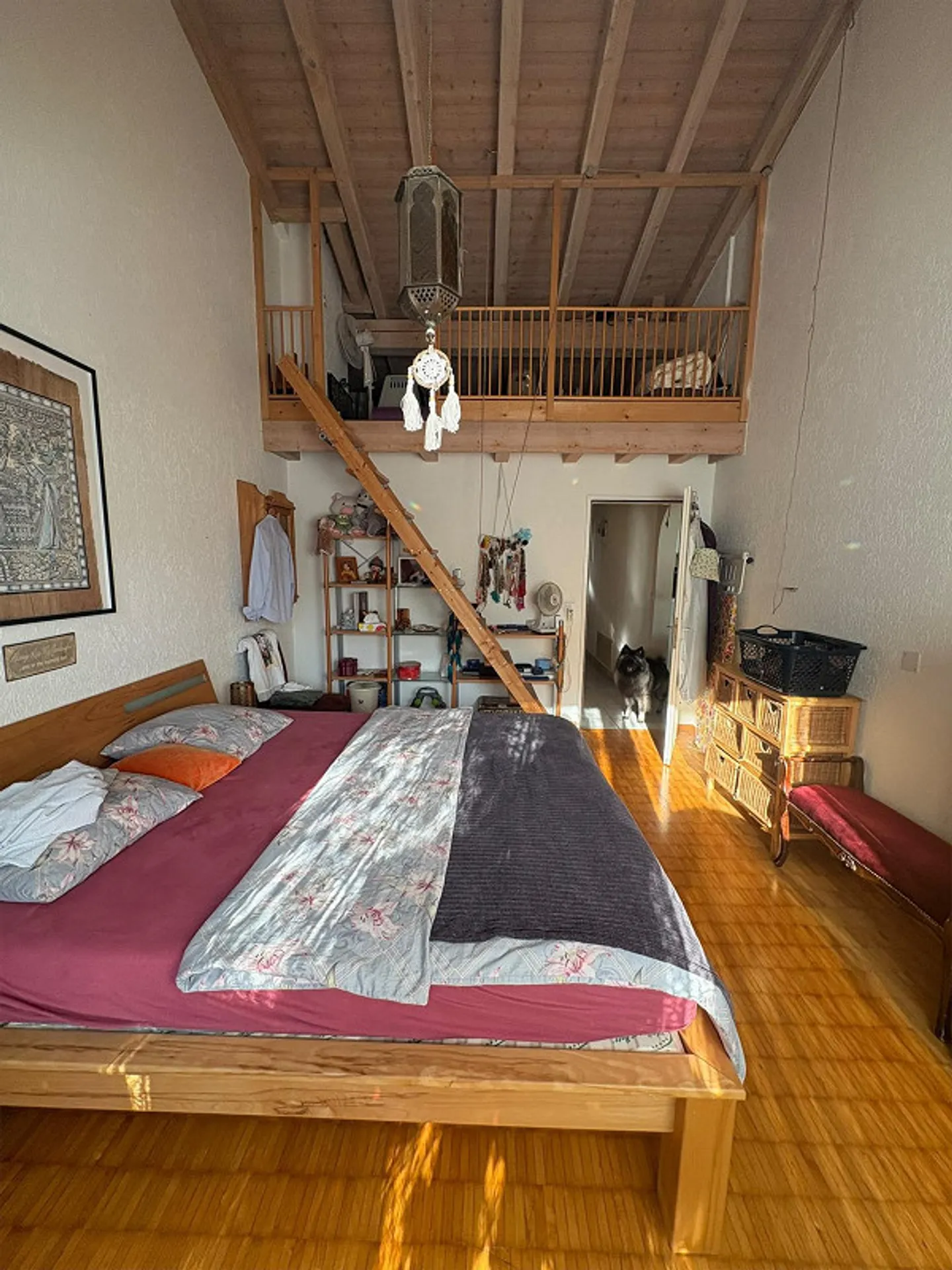 Beautiful 4.5 room apartment in a quiet location - Photo 1 of 8