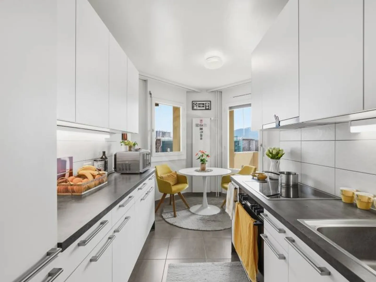 Spacious Apartment in Petit-Saconnex - Photo 4 of 9