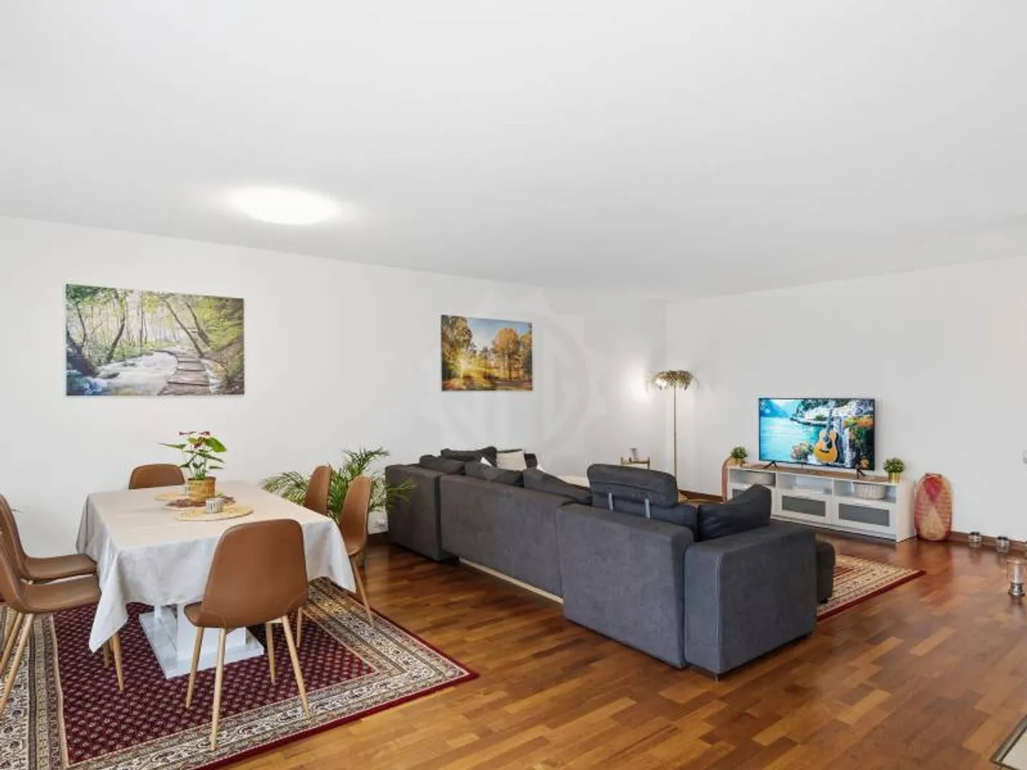 Spacious Apartment in Petit-Saconnex - Photo 2 of 9