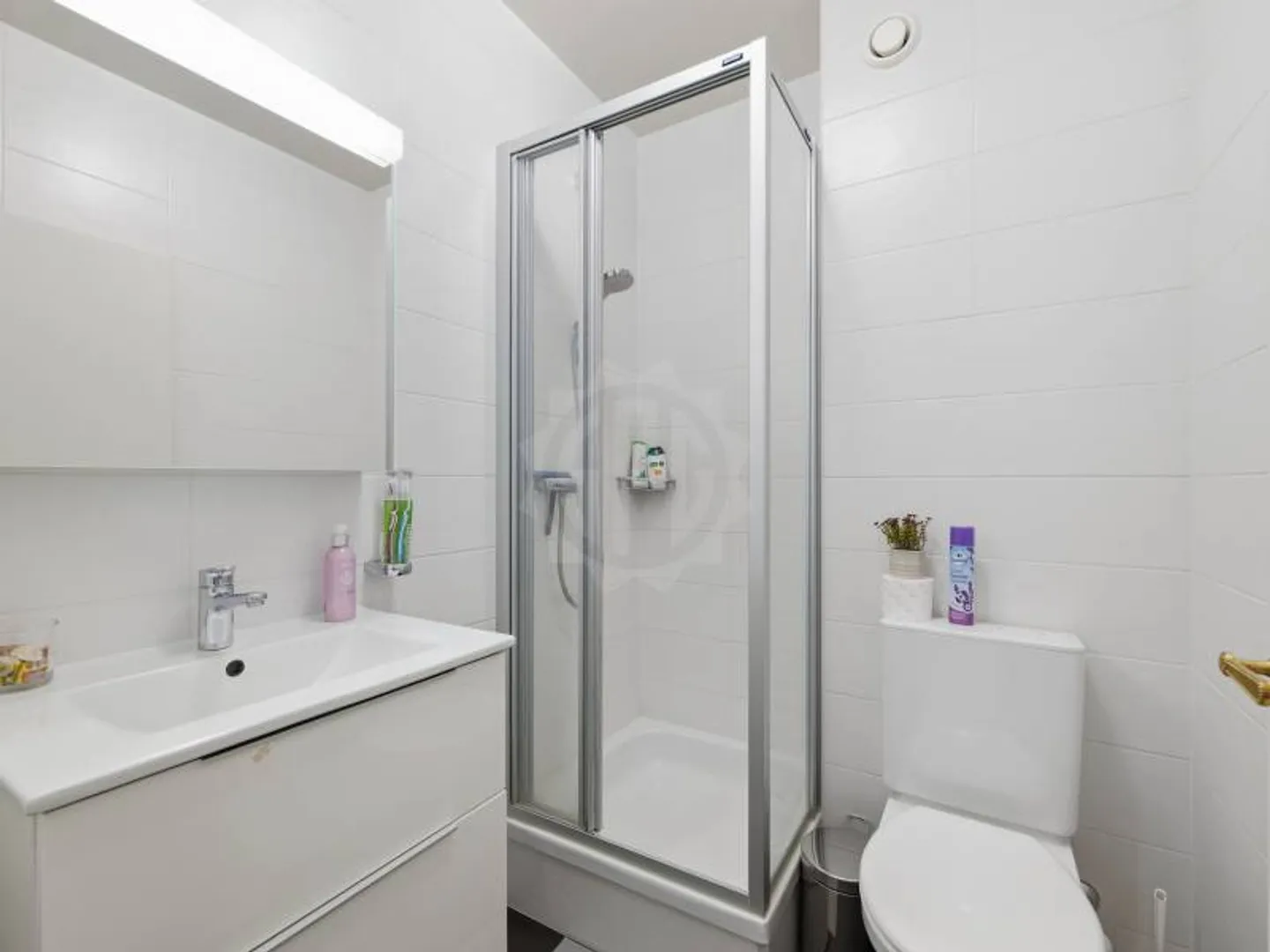 Spacious Apartment in Petit-Saconnex - Photo 8 of 9