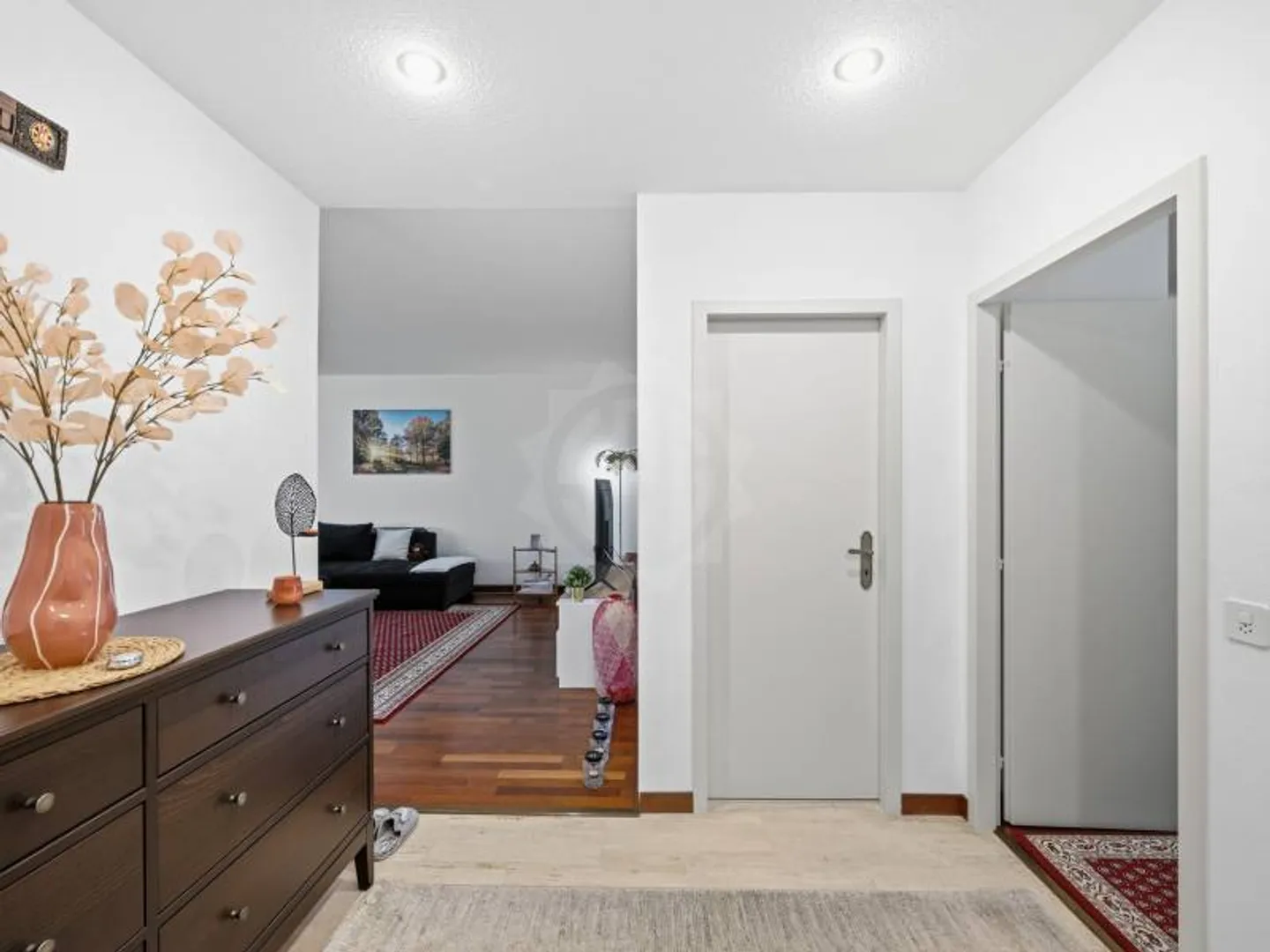 Spacious Apartment in Petit-Saconnex - Photo 9 of 9