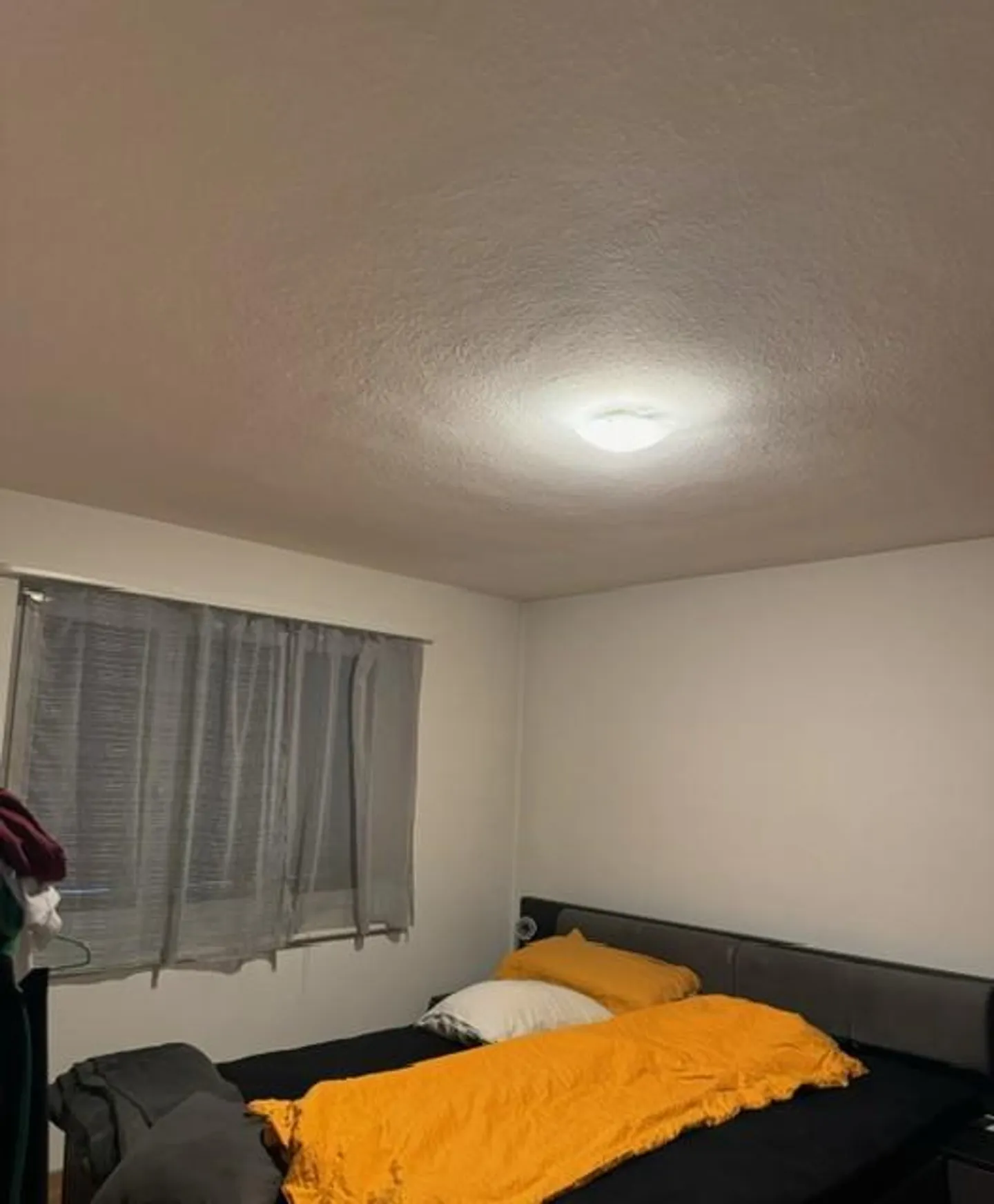 2.5 Zimmerwohnung in Schlieren - Foto 3 von 6