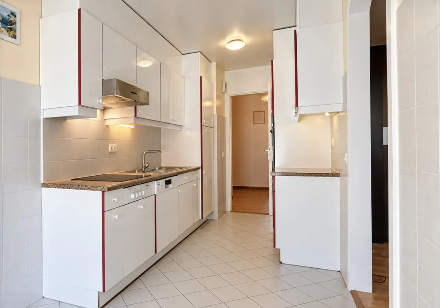 Appartamento spazioso a Ginevra - Foto 3 di 8