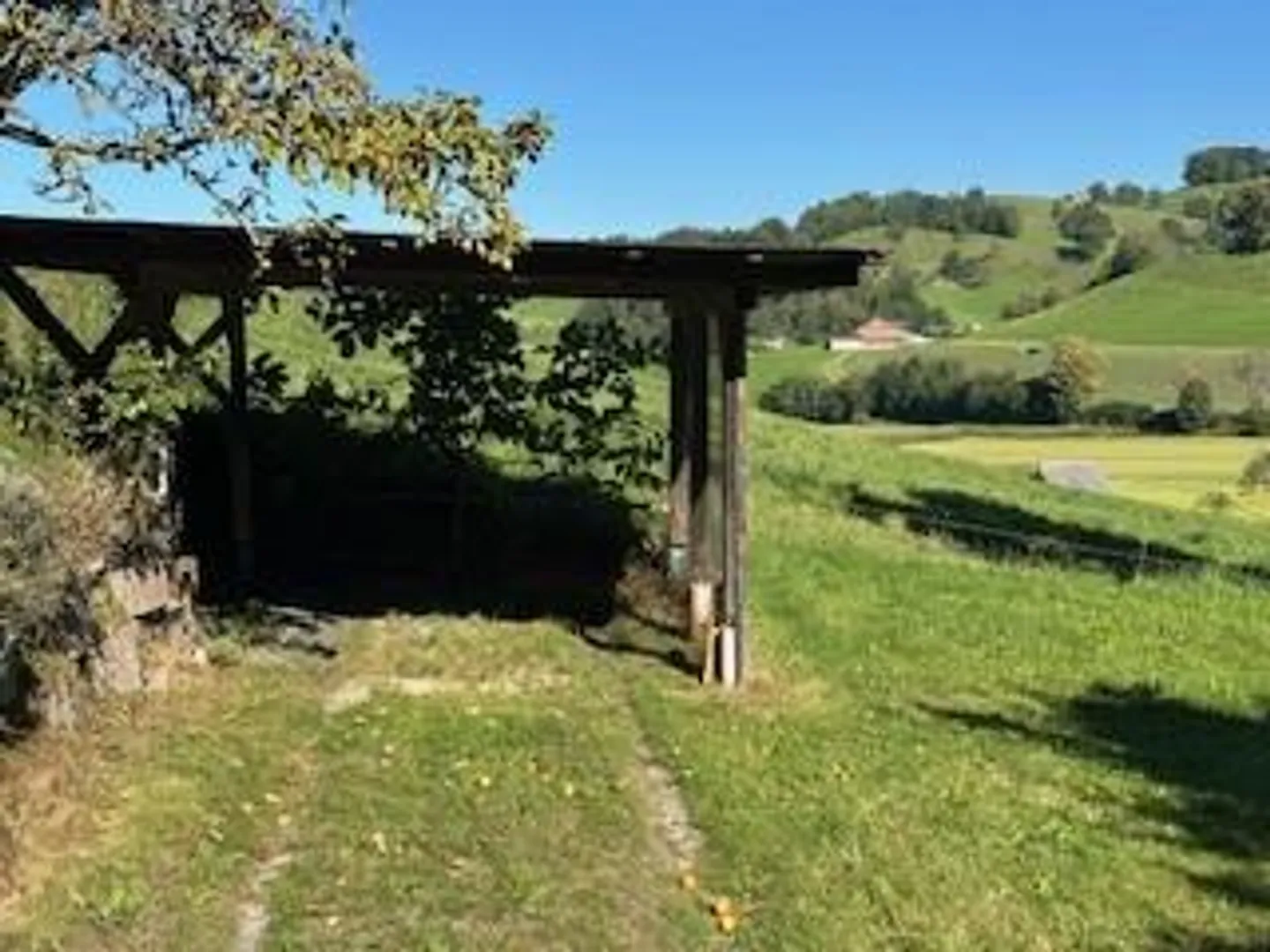 Cozy and Quiet 2.5 Room Apartment, 60m2, CHF 1,150.- incl. NK - Photo 9 of 9