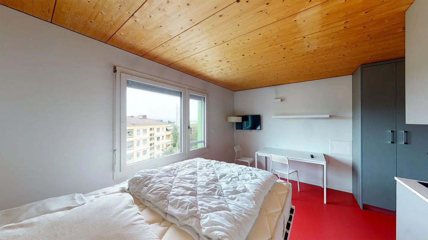 Un monolocale arredato - Buono TL CHF 300.00 offerto! - Foto 6 di 10