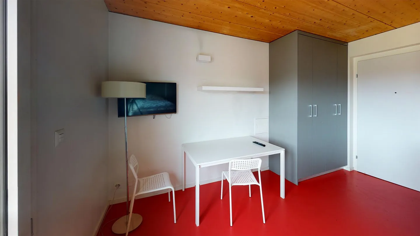 Un monolocale arredato - Buono TL CHF 300.00 offerto! - Foto 8 di 10