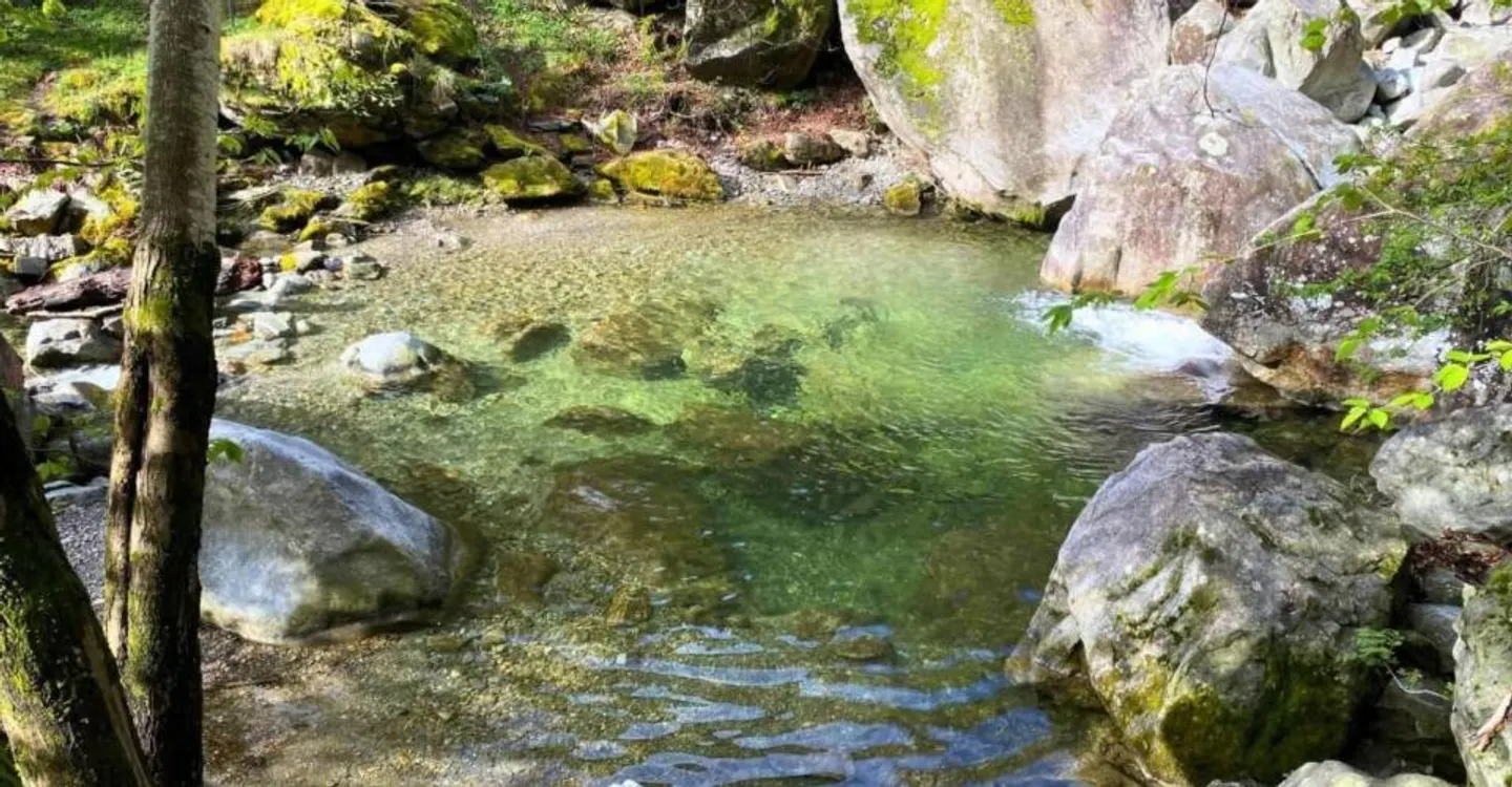 Terreno edificabile con piscina naturale a Giornico - Residenza principale - Foto 2 di 6