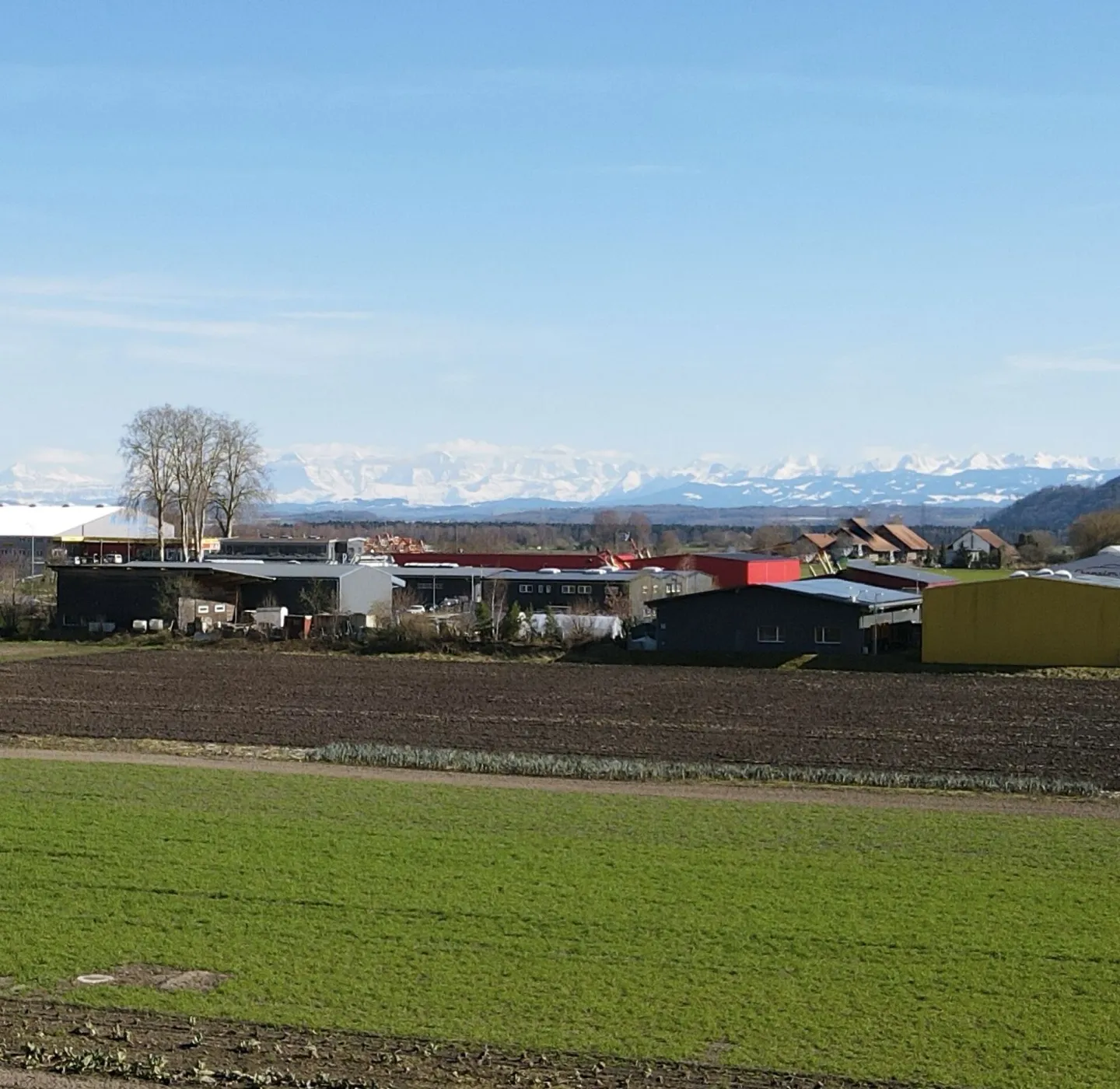 Appartement Charmant à Gampelen - Photo 3 sur 4