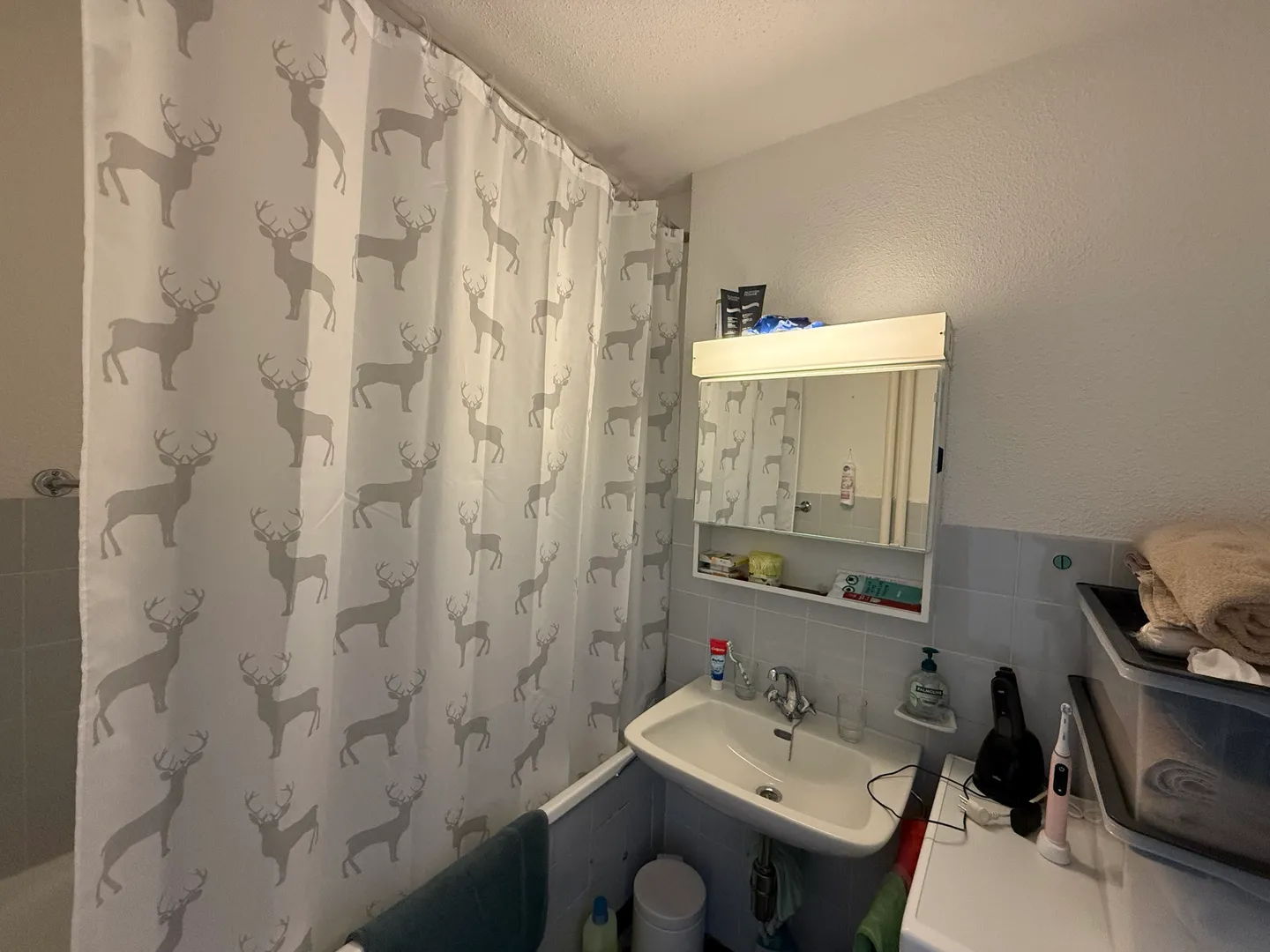 Appartement Charmant au Village - Photo 9 sur 13