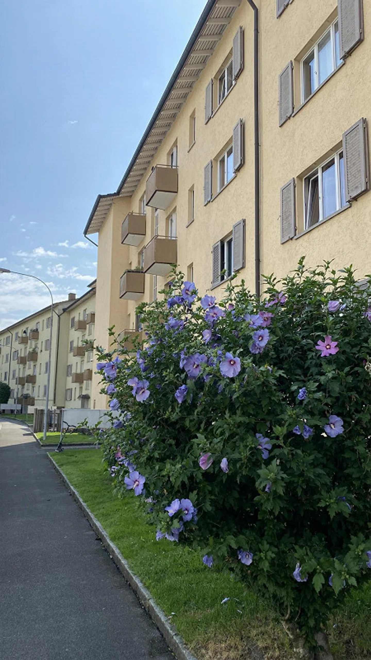 2.5 Room Apartment in Schlieren - Photo 1 of 5