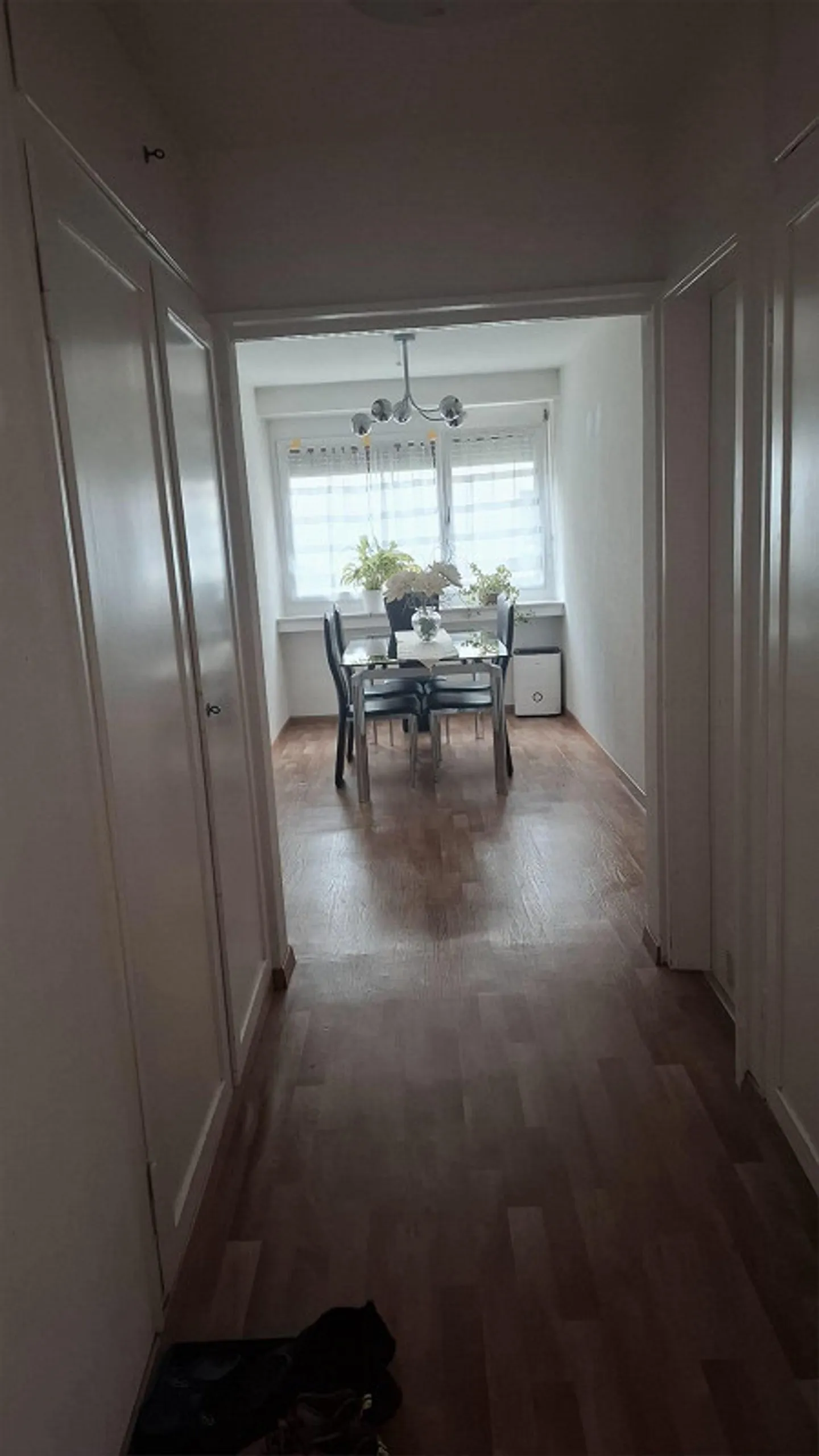 2.5 Room Apartment in Schlieren - Photo 3 of 5