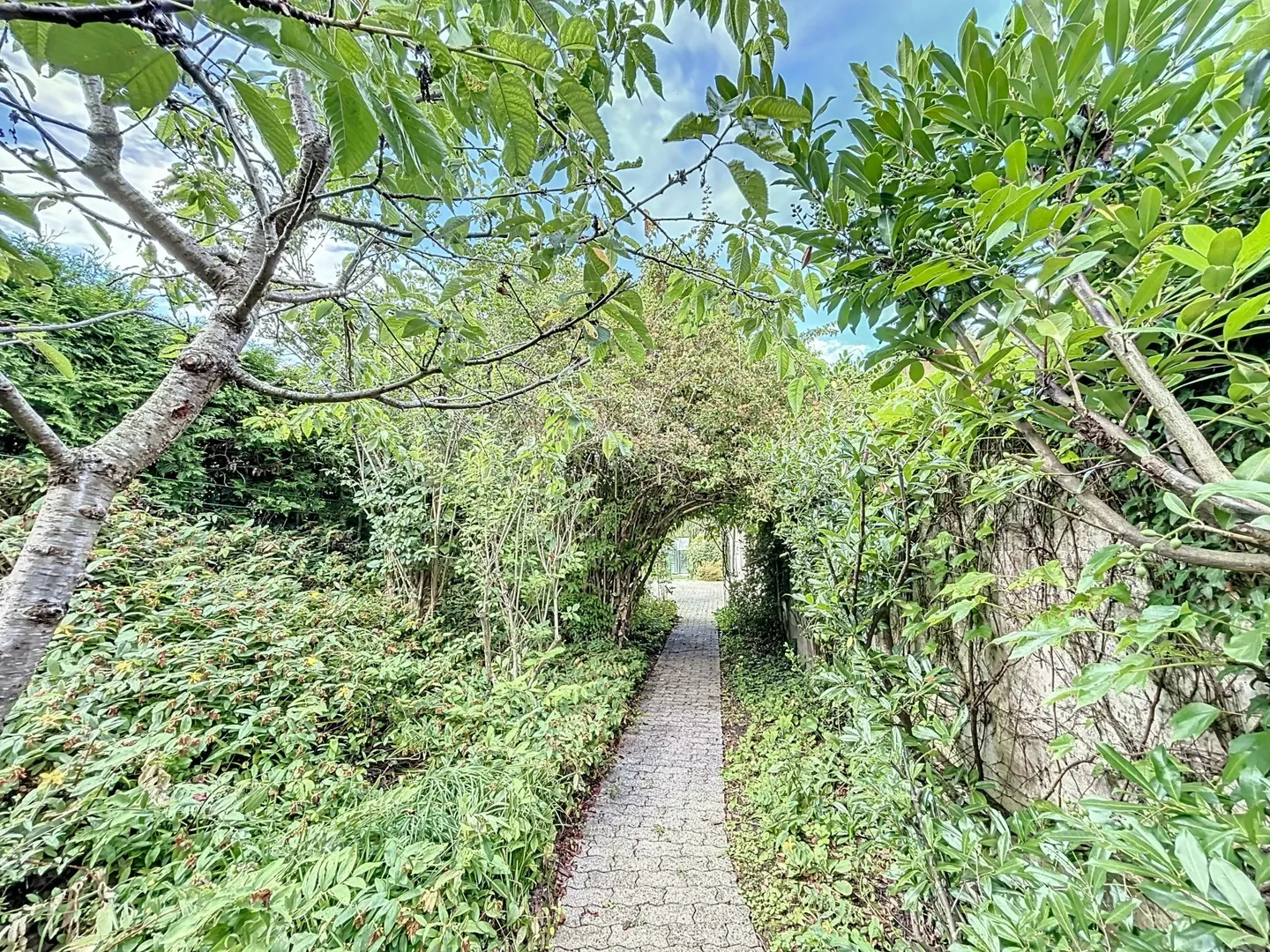 Einfamilienhaus kaufen - Foto 11 von 11