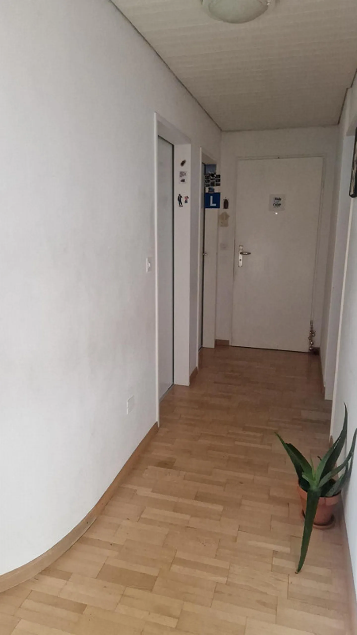 Wohnung 4Z Bronschhofen - Foto 5 von 5