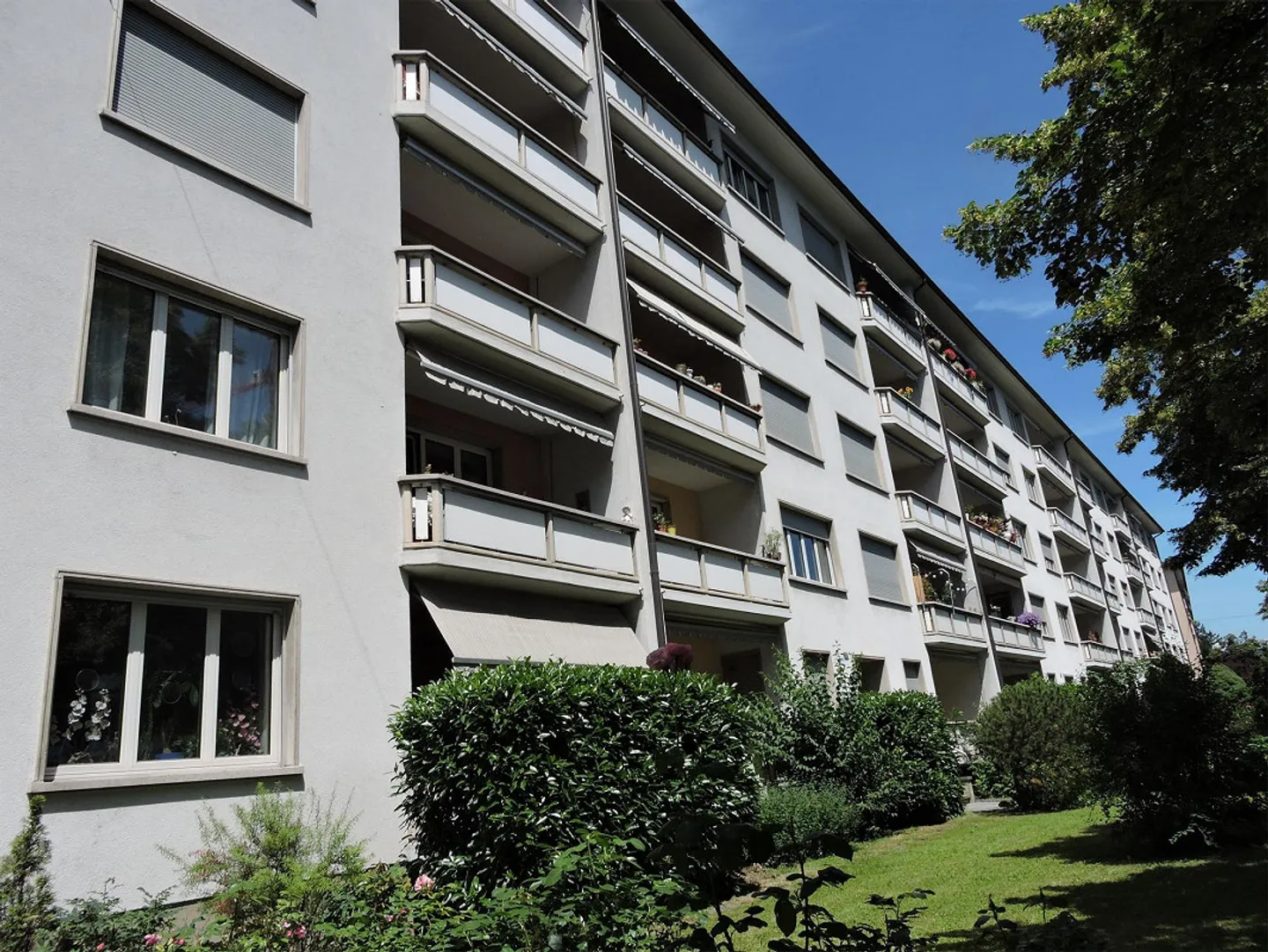 Attention célibataires ! - Photo 1 sur 4