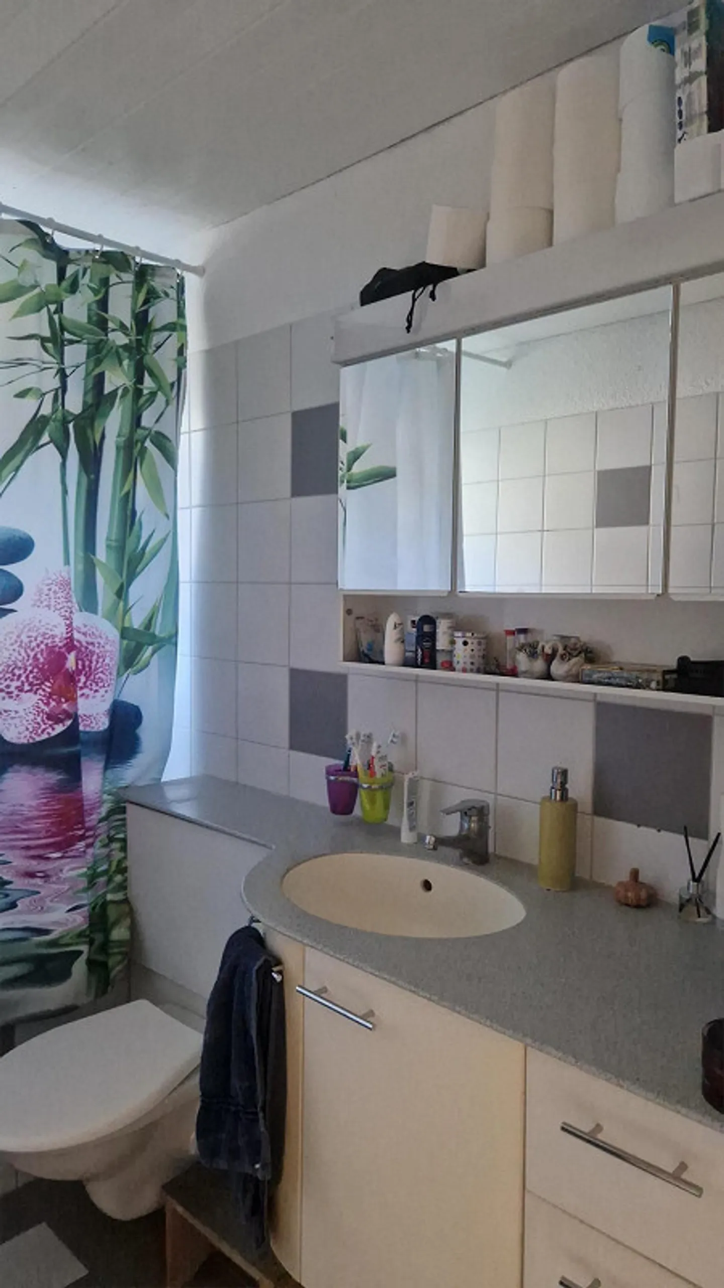 Wohnung 4Z Bronschhofen - Foto 3 von 5