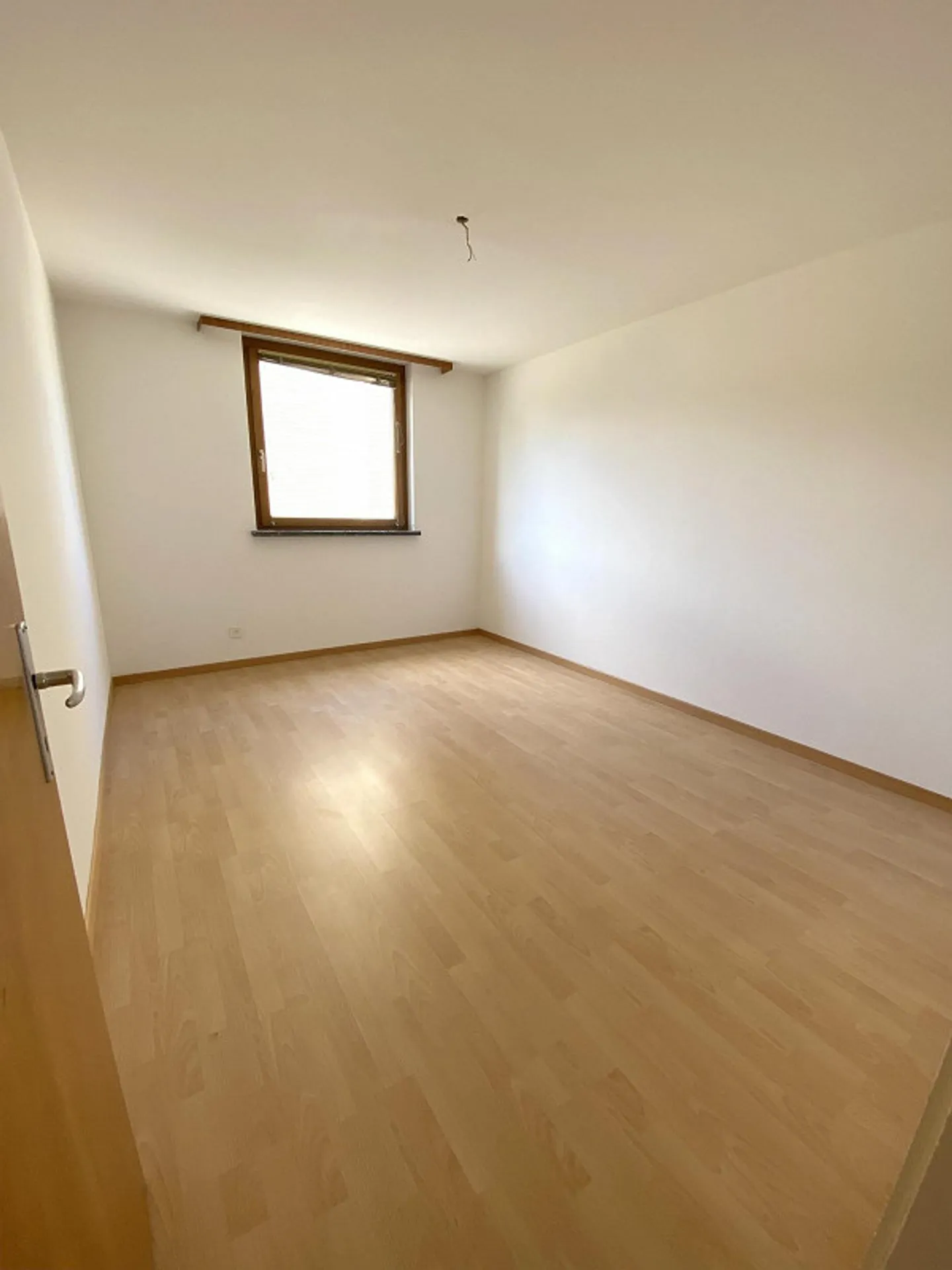 Family-friendly apartment in Neuhausen - Photo 3 of 11