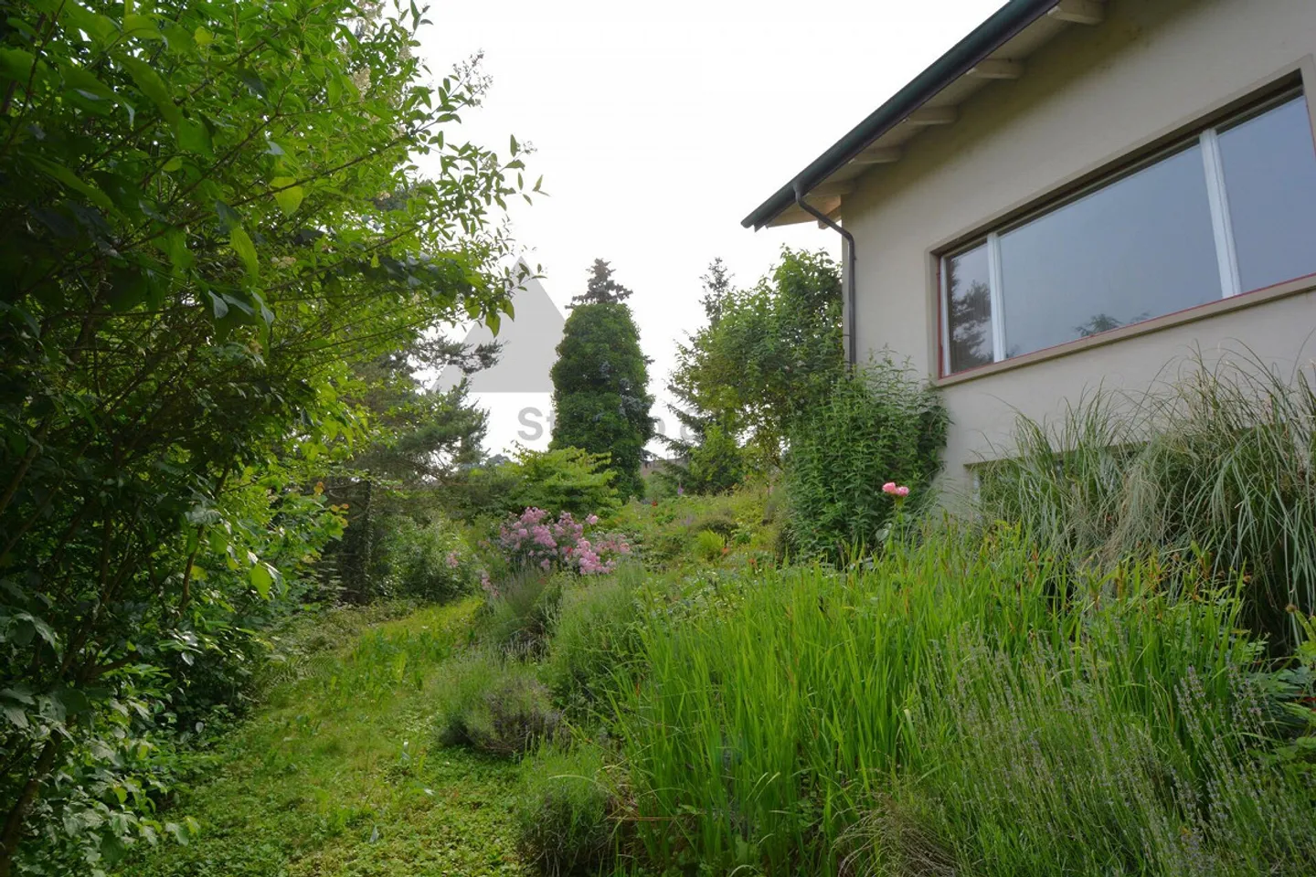 Sonniges Bauland mit Potenzial - Foto 8 von 13