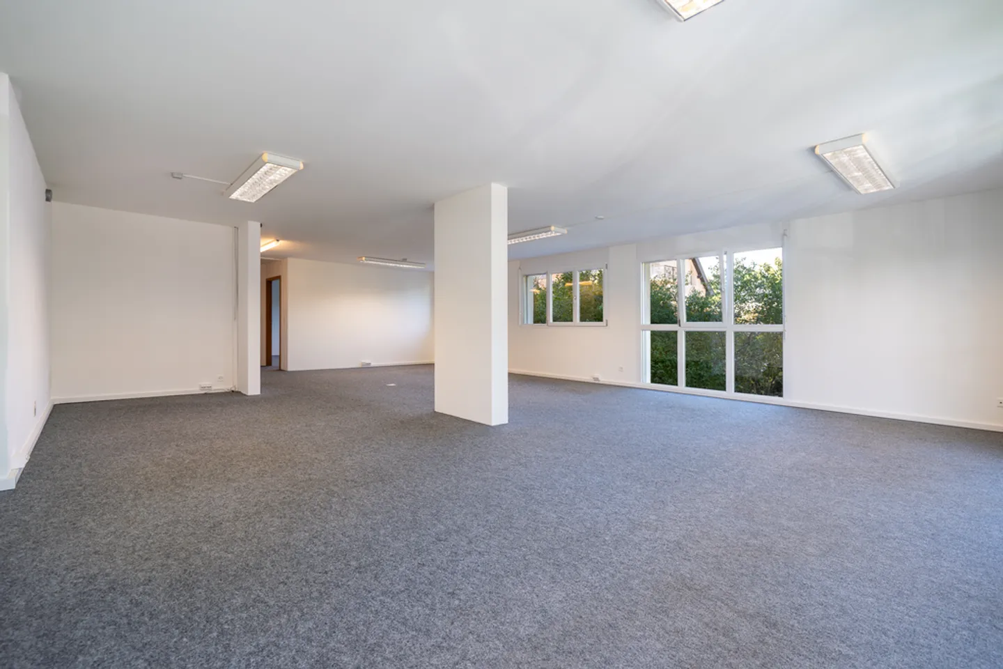 Commercio - Foto 2 di 8